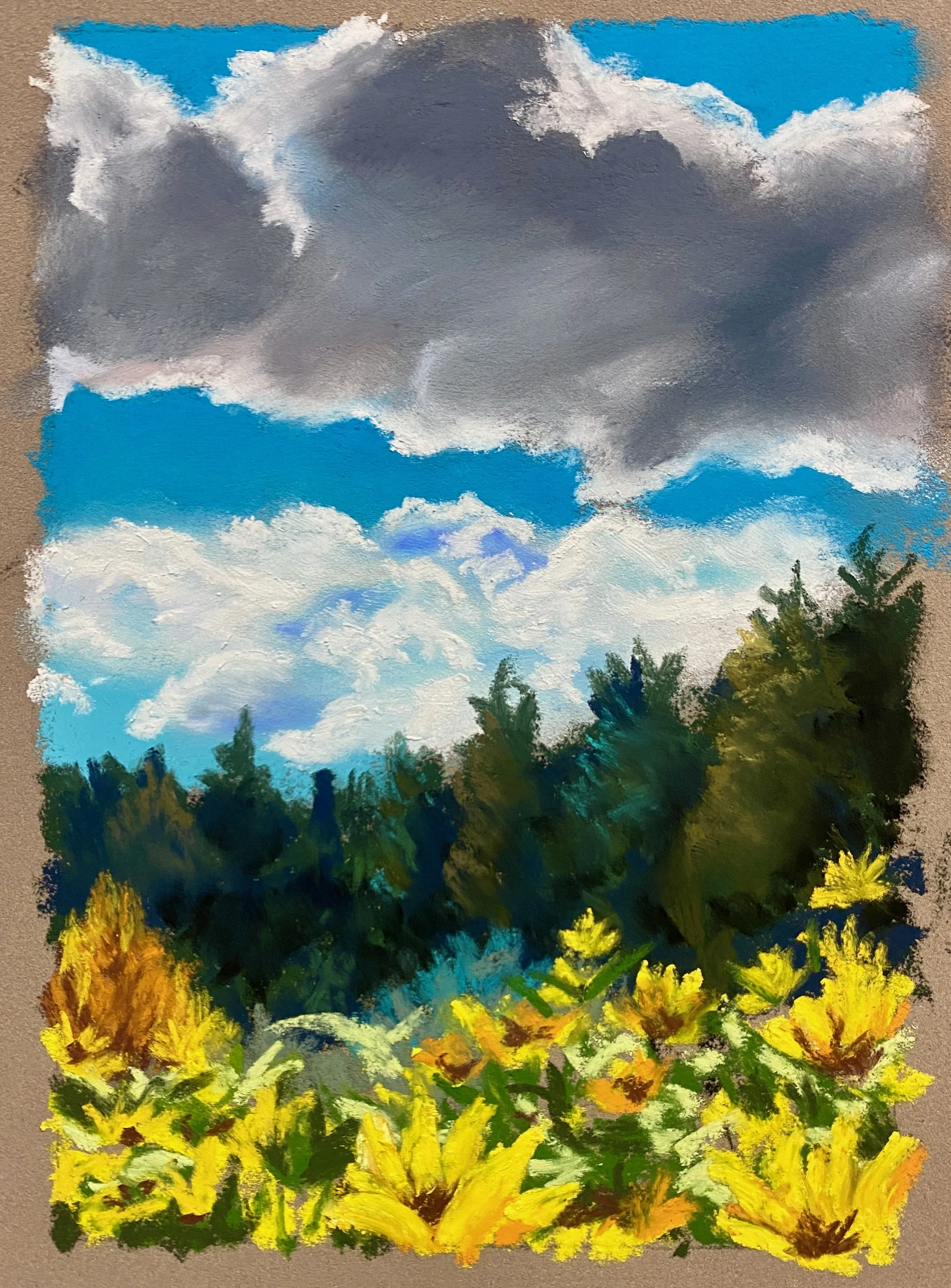 Cloudscape V - Flagstaff Arboretum.jpeg