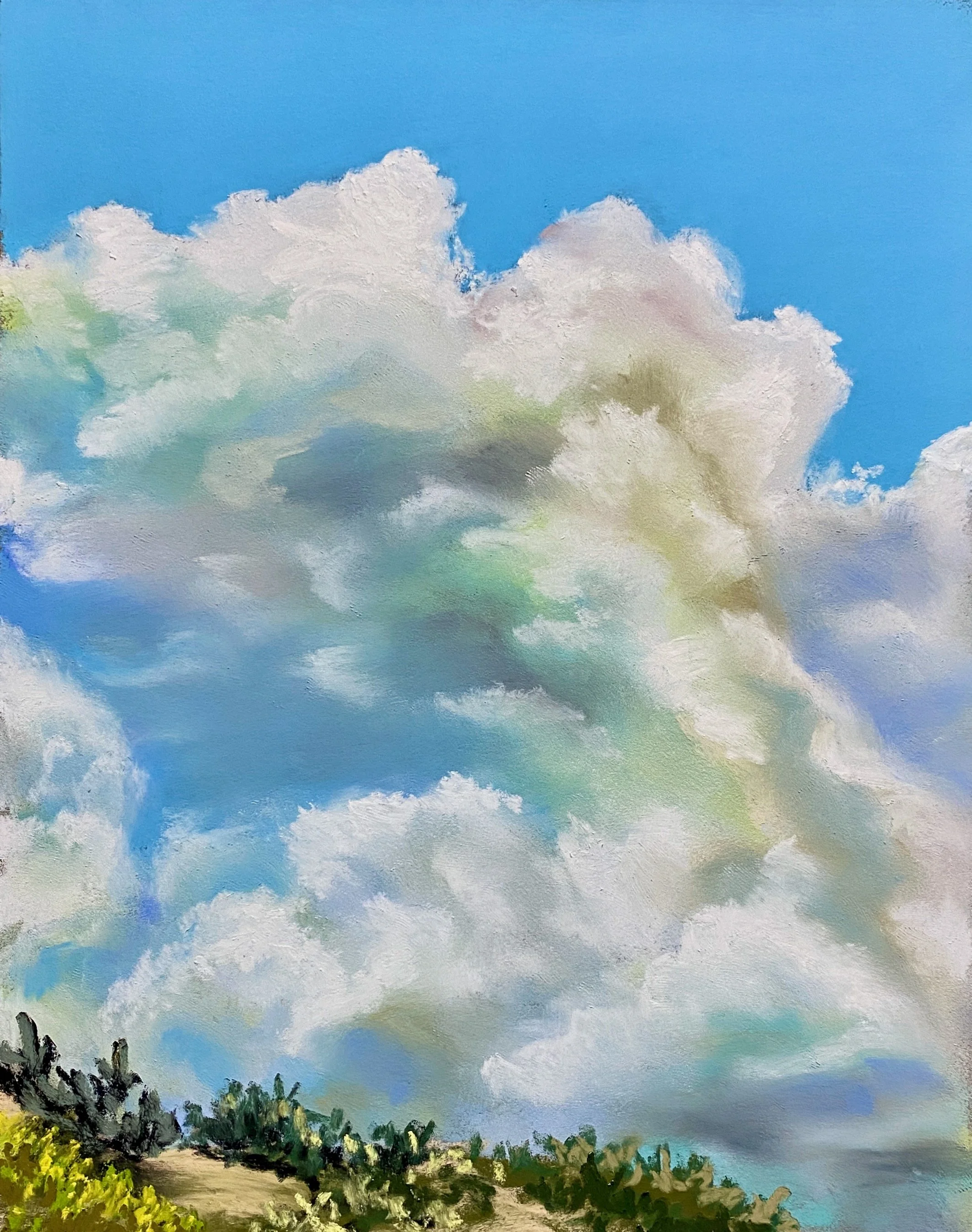 Cloudscape VI - Sunny Day in Rimnrock.jpeg