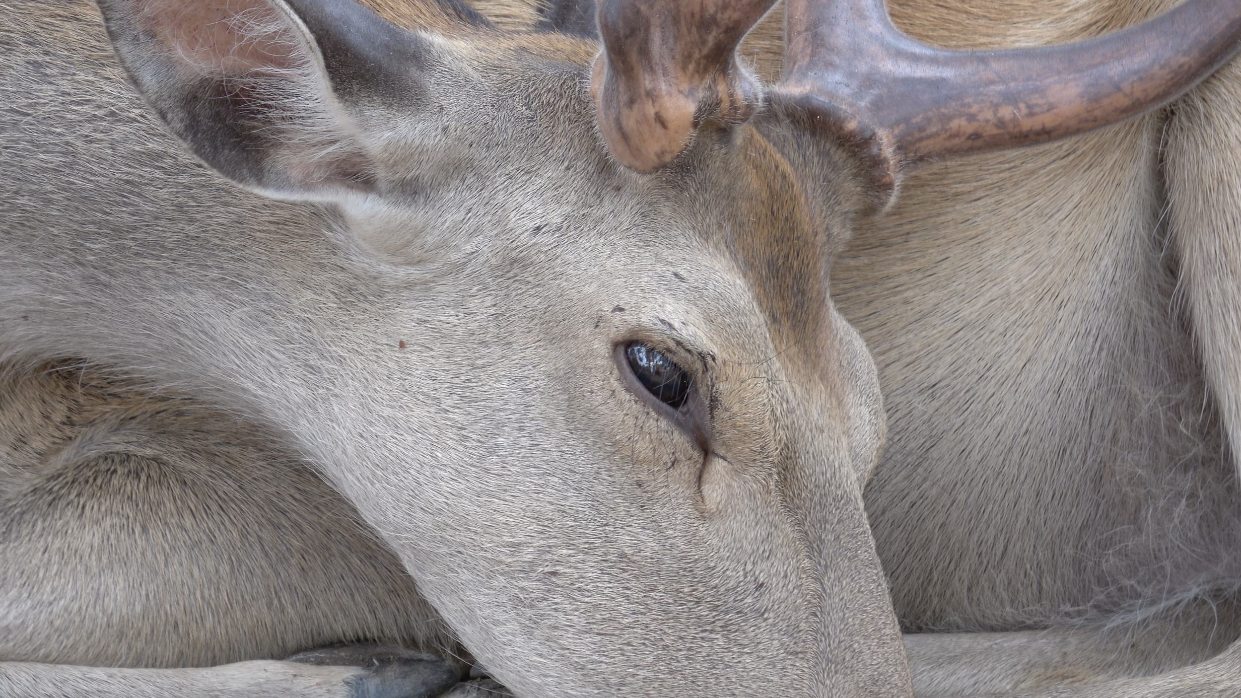 Thinking about overthinking - capture vidéo .png