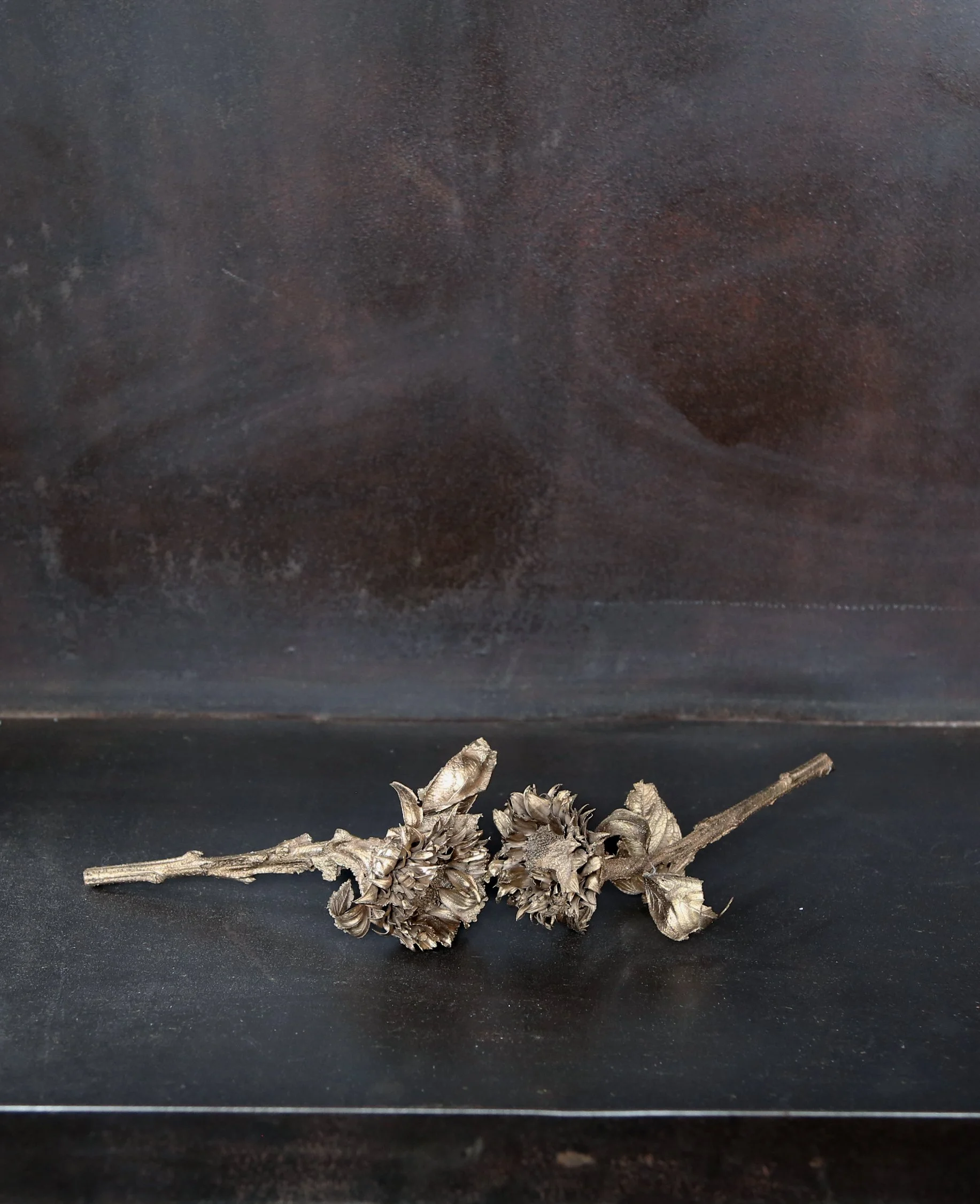 The lovers, bronze, 2026