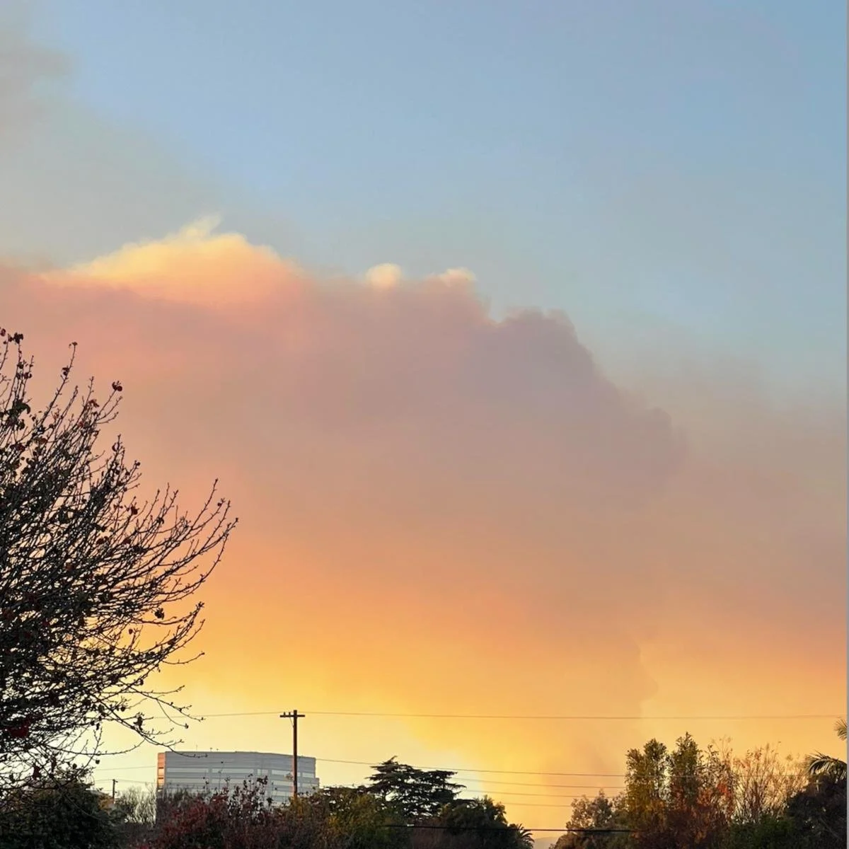 Selling Property After the Pacific Palisades Fires