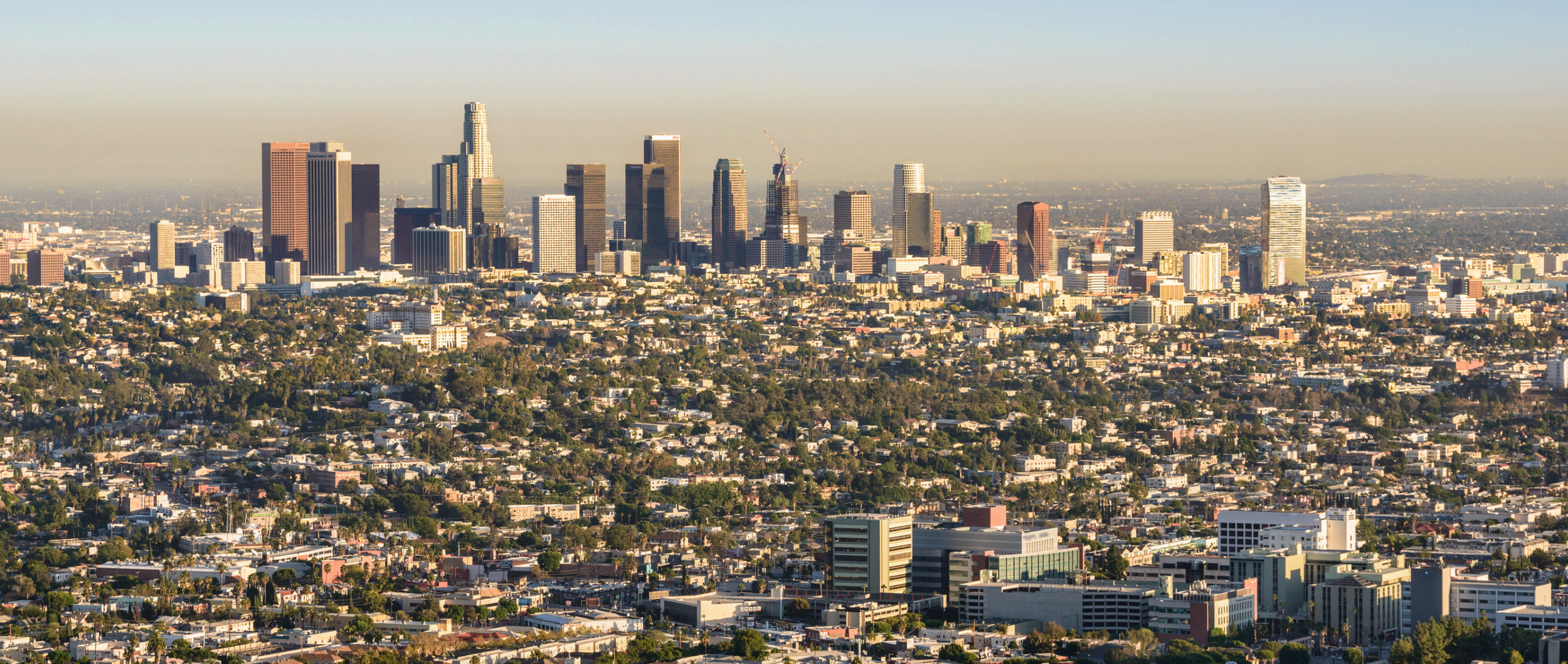 Los Angeles real estate agent specializing in West LA and 90025 homes, condos, and multifamily investment properties with expert local market knowledge.