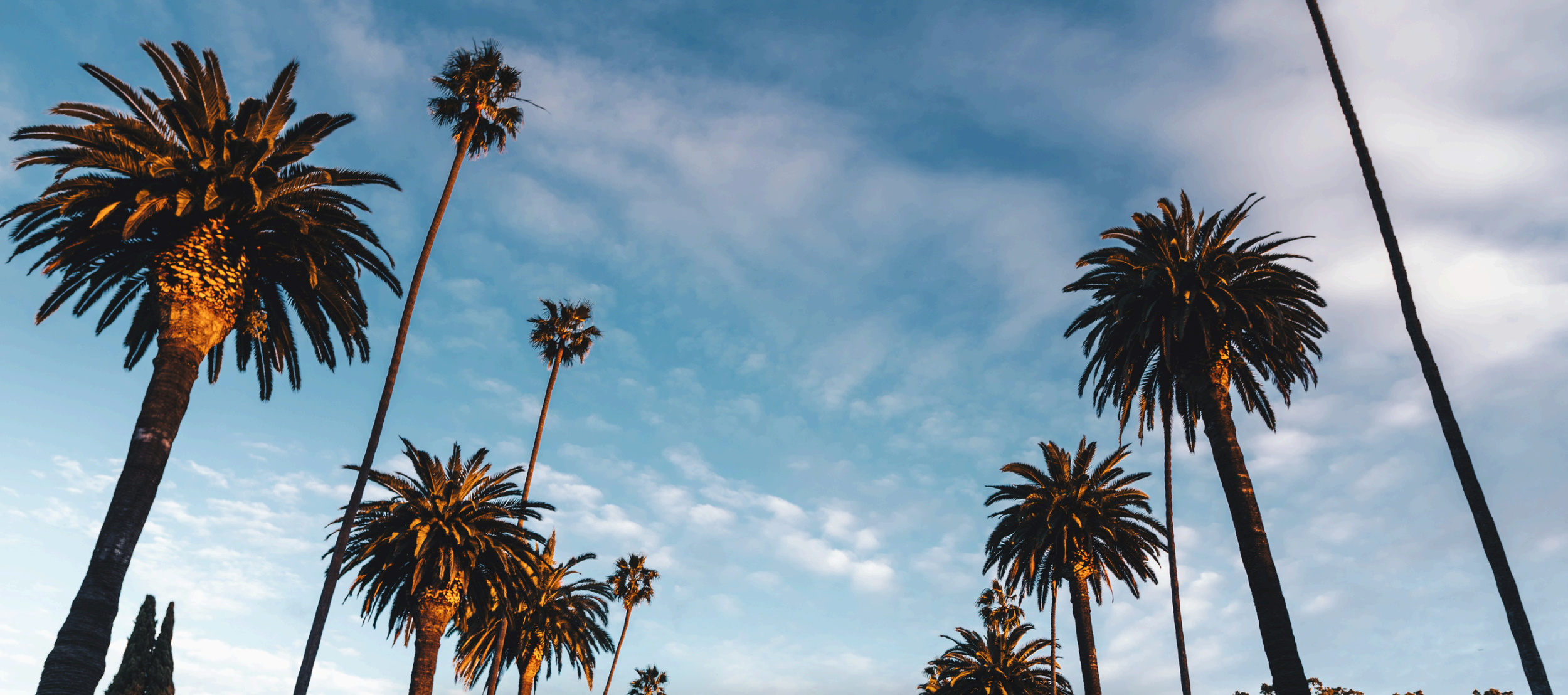 Westwood real estate agent specializing in 90024 condos, single-family homes, and multifamily investment properties near UCLA and the Wilshire Corridor.