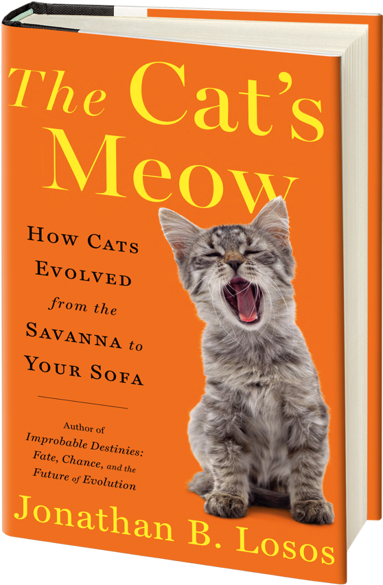 The Cat's Meow by Jonathan B. Losos: 9781984878700