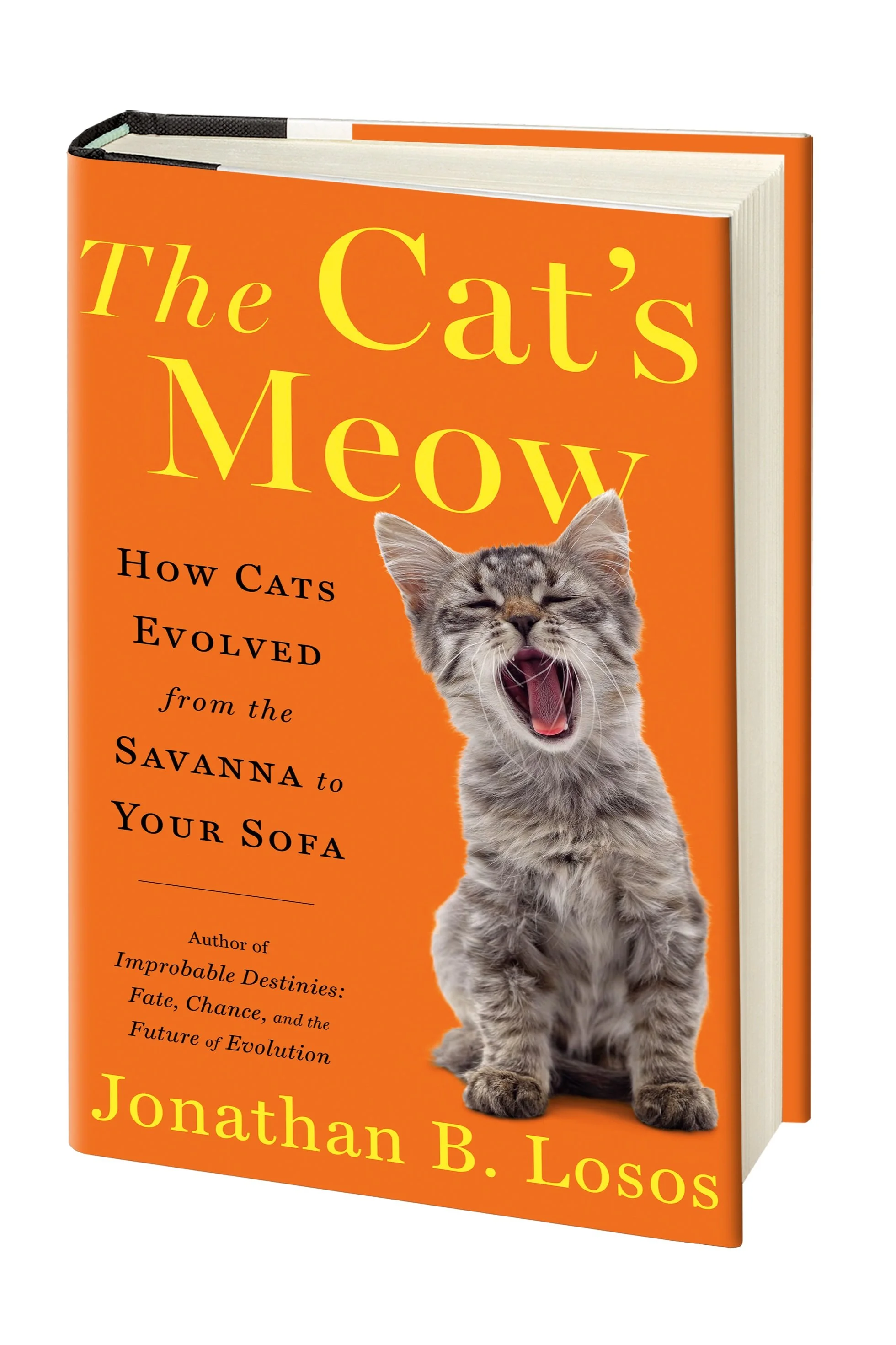 John Rooks Cat Books: The Cat's Meow — Jonathan B. Losos