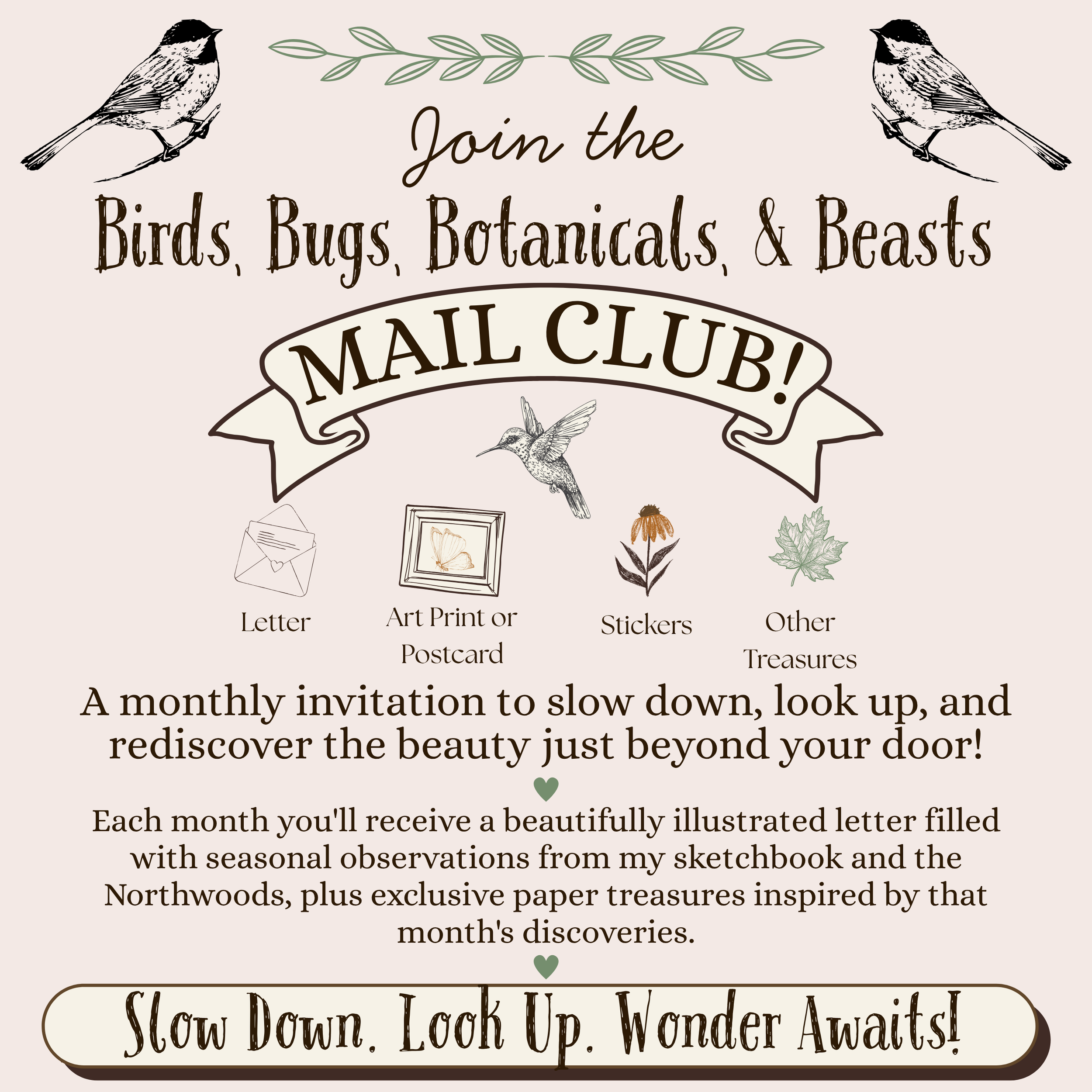 Birds, Bugs, Botanicals, & Beasts (1).png