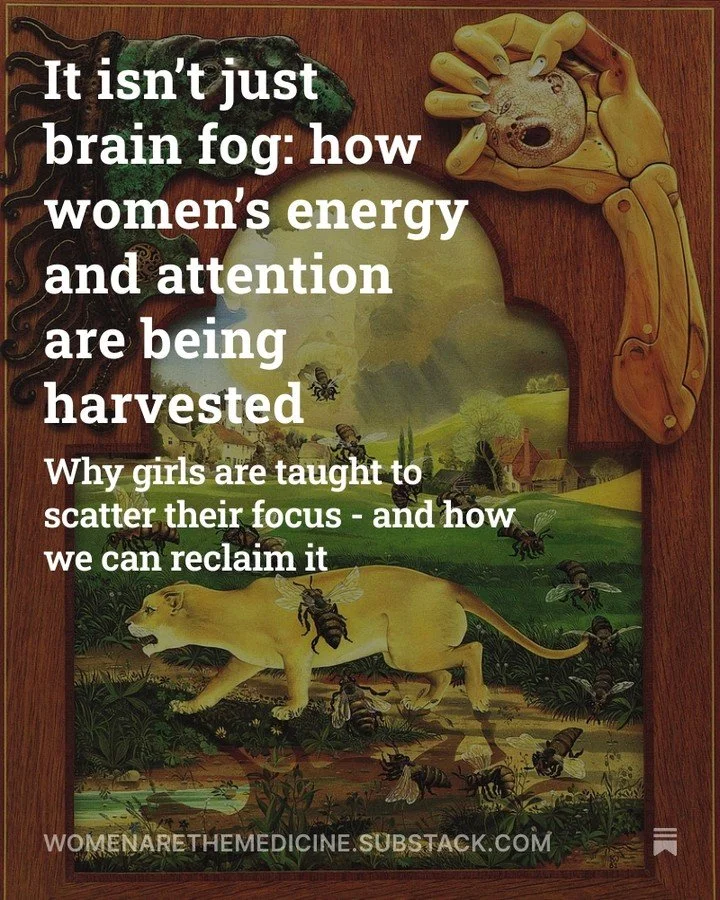 It isn&rsquo;t &ldquo;brain fog.&rdquo; It&rsquo;s harvesting.

From the moment we&rsquo;re girls, we&rsquo;re trained to direct our energy outward &mdash; to please, to help, to anticipate what others need before they even ask. We&rsquo;re praised f