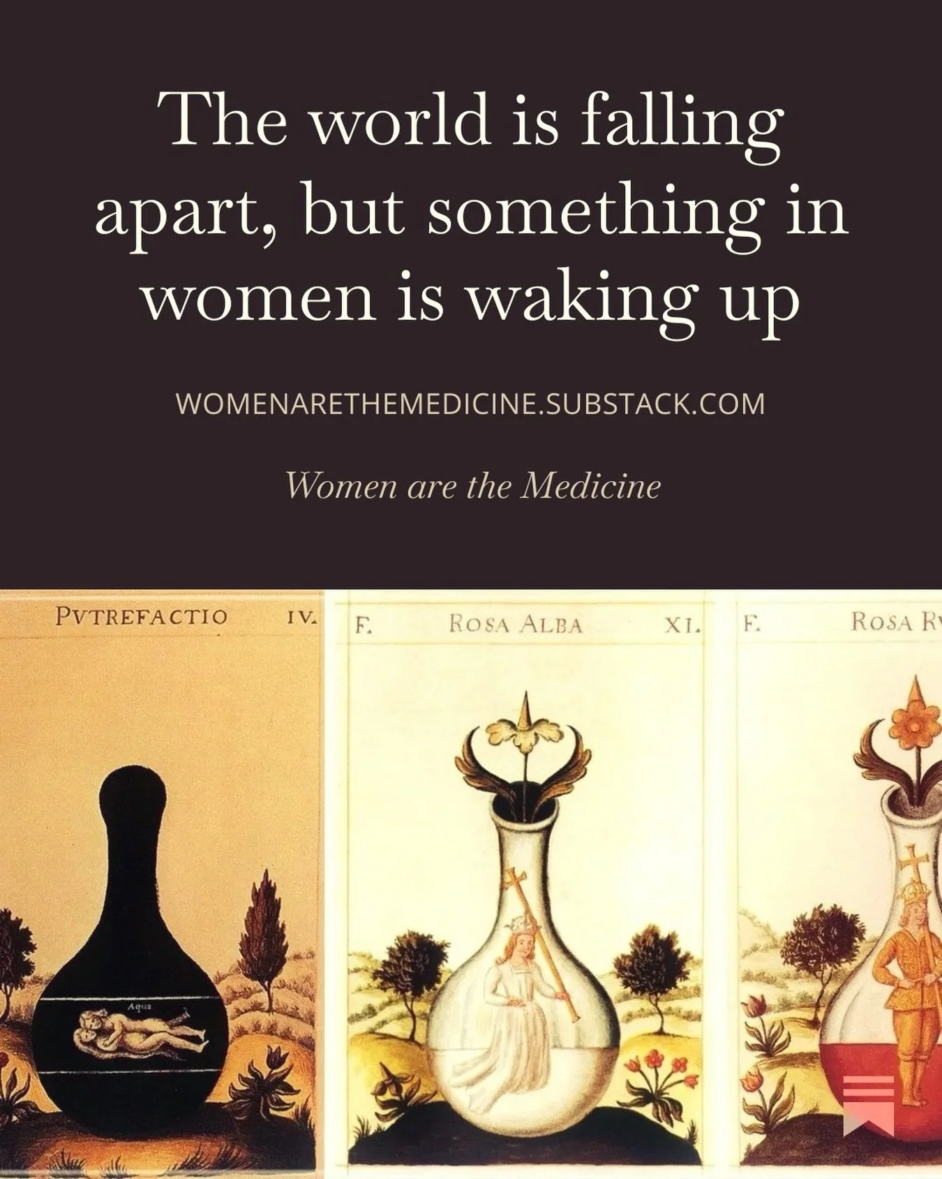 On grief, alchemy and why your inner life is political right now&hellip;. 🔗 in bio