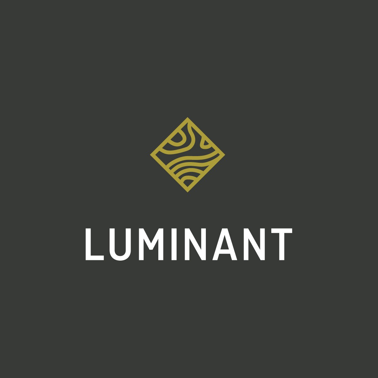 luminant-logo-square.jpg