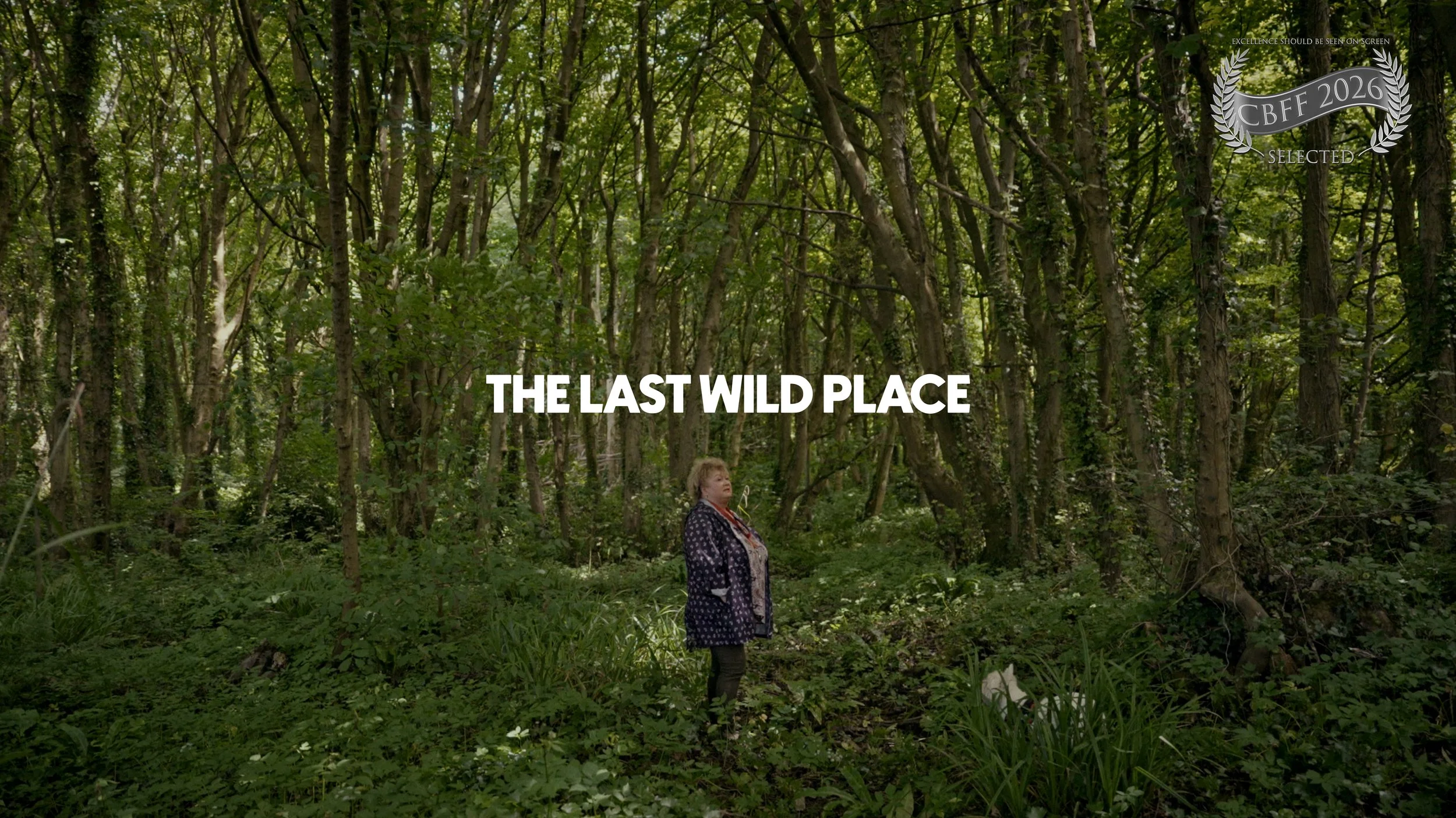 Last wild place.jpg