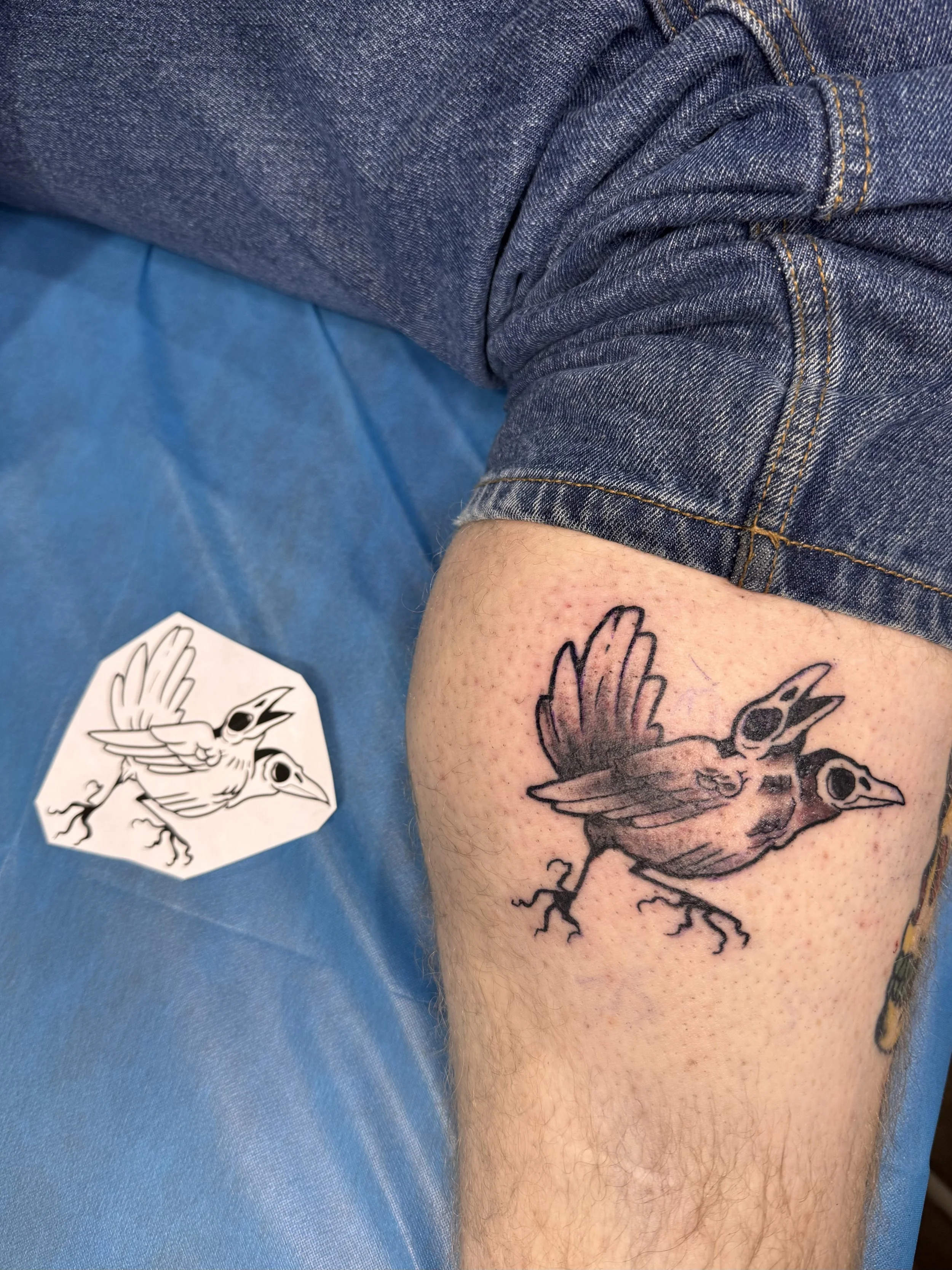 Tattoo of a bird with outstretched wings on a person's calf, with denim jeans rolled up above it, on a blue surface with a sticker of a similar bird design nearby.