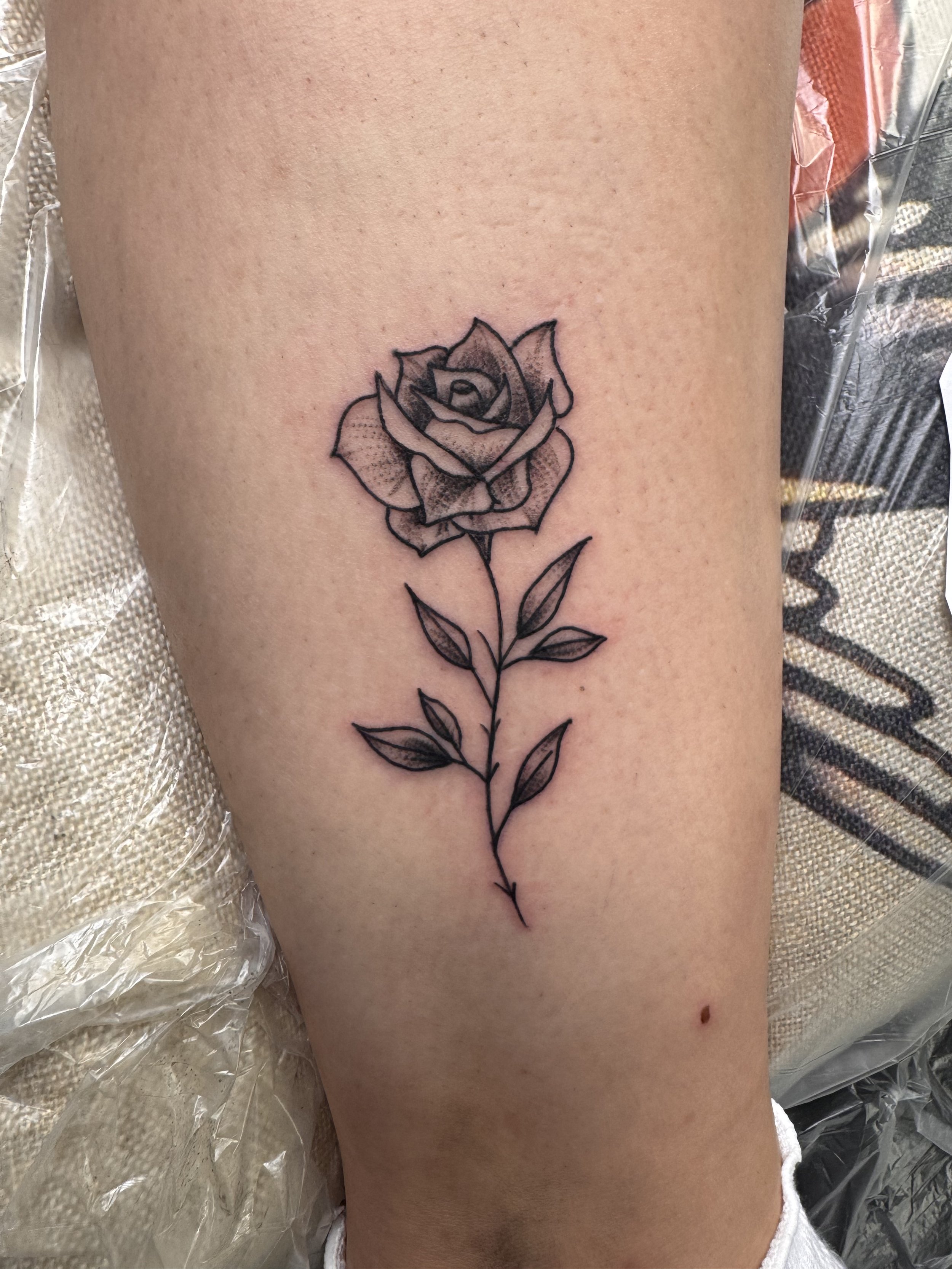 A freshly inked black outline tattoo of a rose on a person's upper thigh, with visible details of petals, leaves, and stem, surrounded by protective plastic wrap.