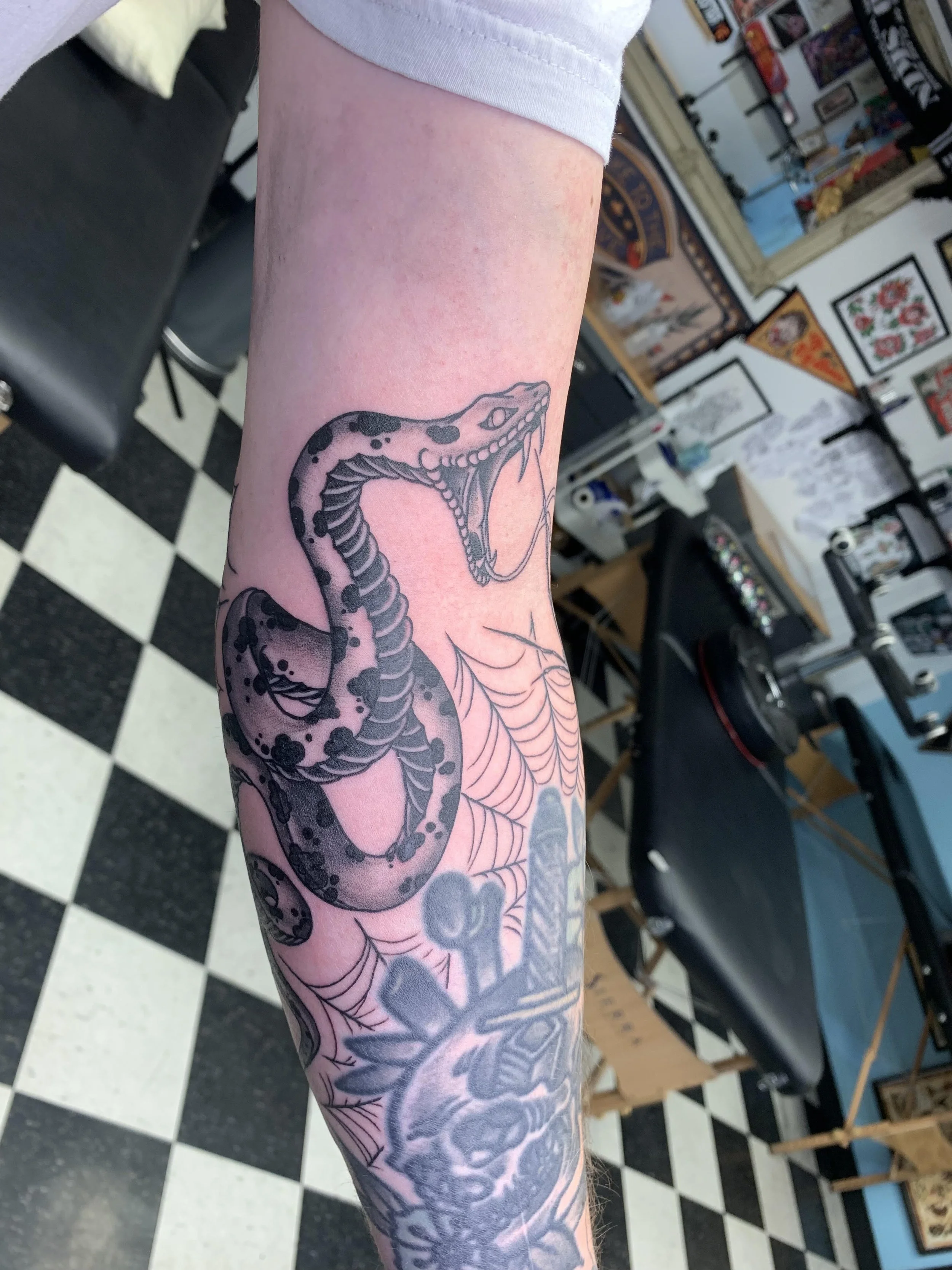 Tattoo of a snake with open mouth on a person's forearm, in a tattoo shop with black and white checkered floor and various framed artwork on the walls.