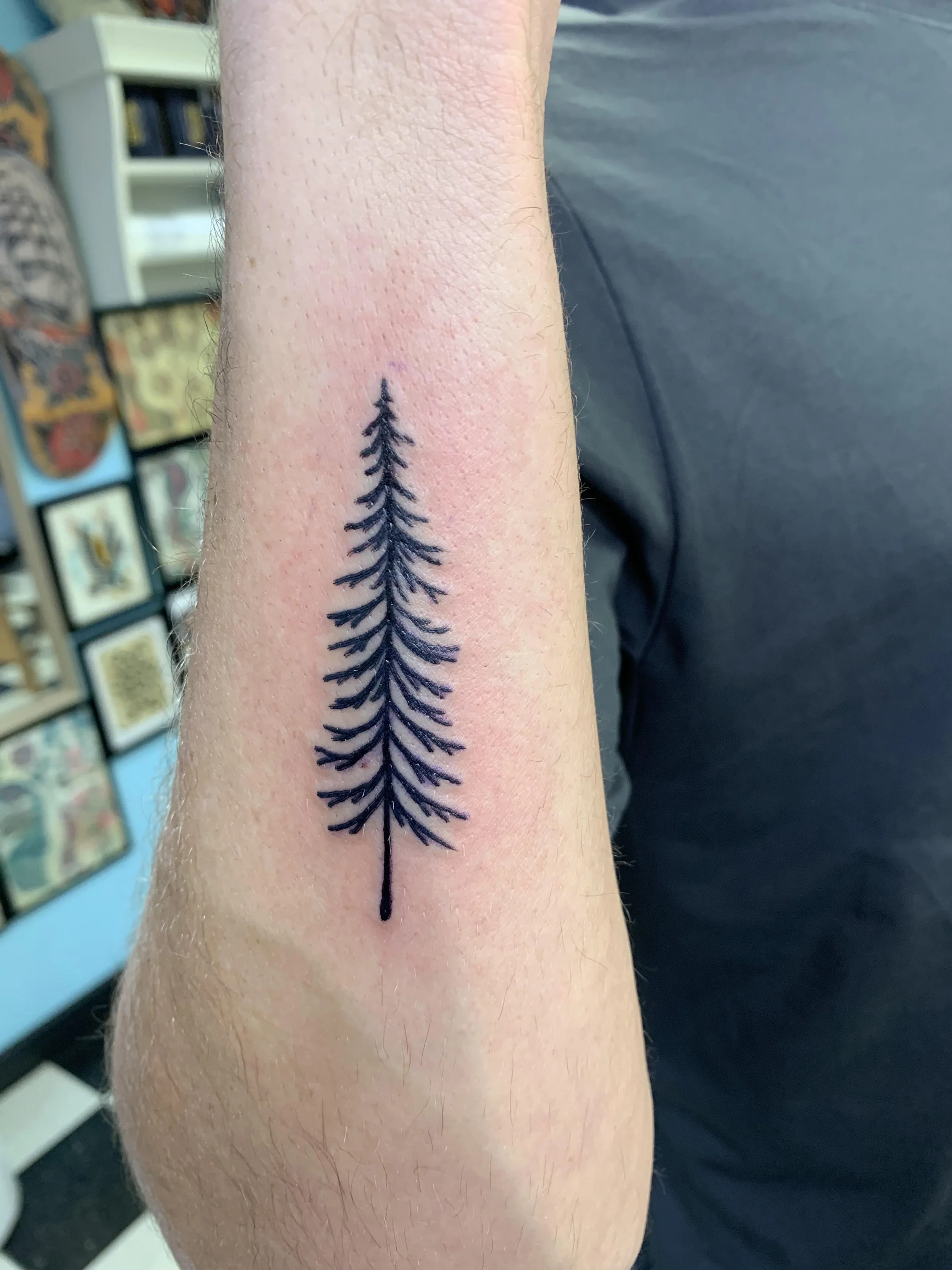 A person's forearm with a black tattoo of a stylized tree or fern design.