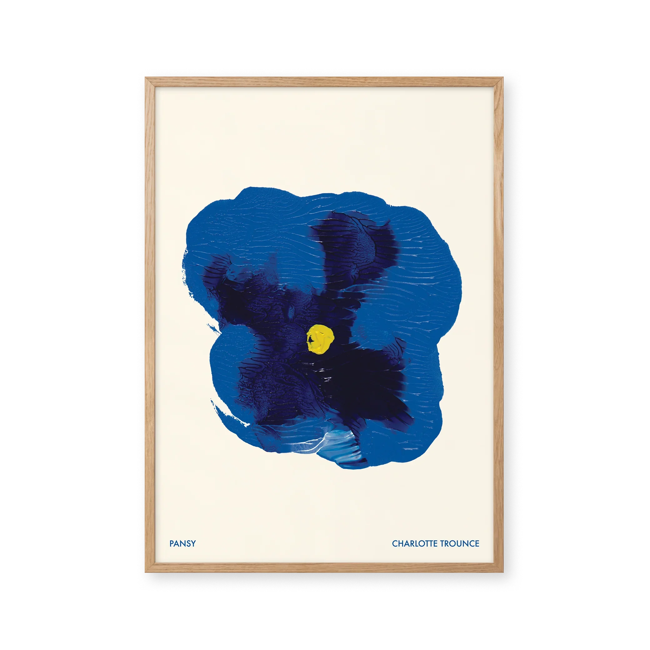 Pansy — Pansies belong to the violet family. Their overlapping petals often carry dark central markings that resemble a small face.