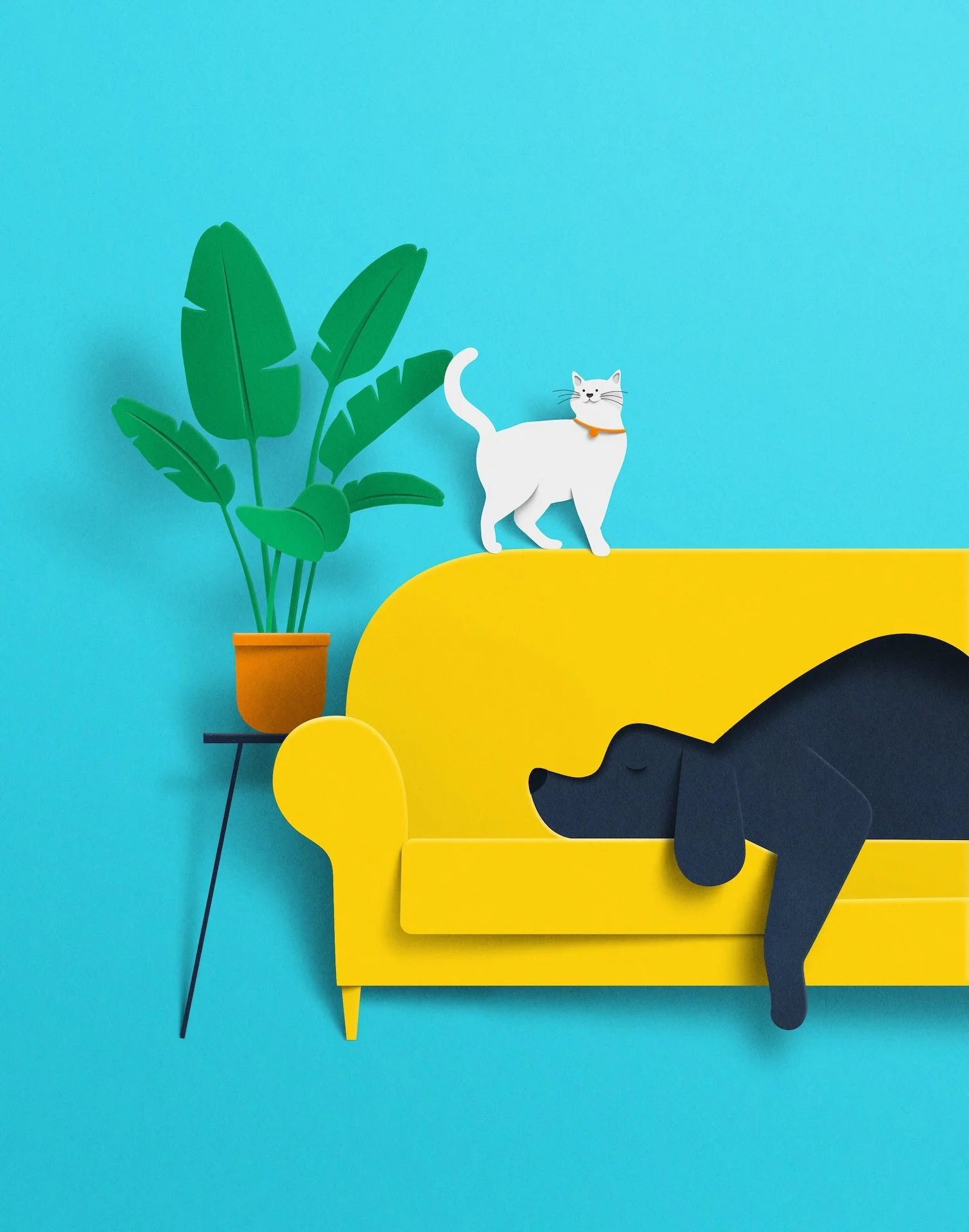 cat and dog magazine-eiko-ojala-illustration-illustration 3.jpg