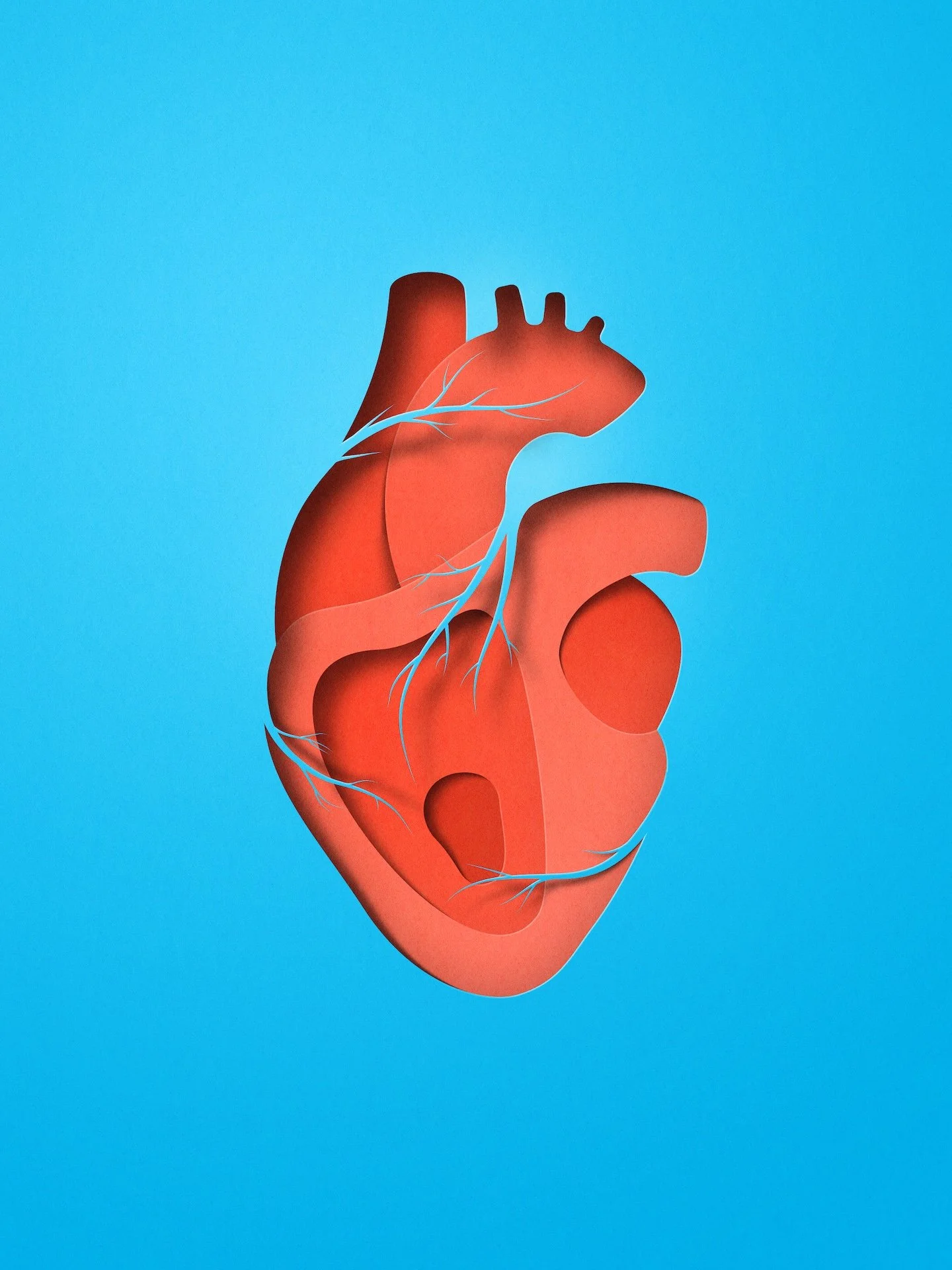 Health organs-eiko-ojala-illustration-Heart.jpg