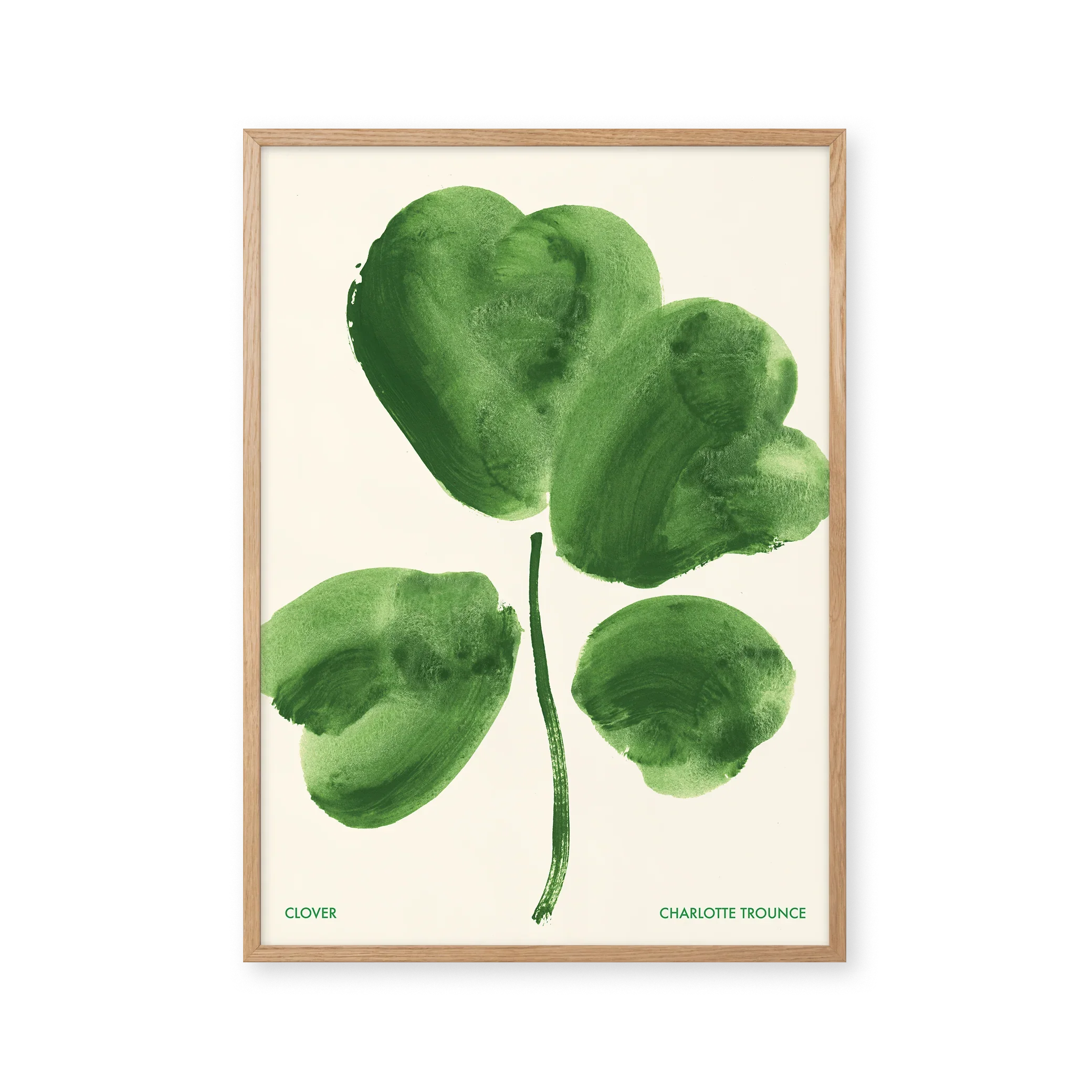 Lucky Clover — Clover belongs to the legume family and is recognised by its divided leaves. Four-leaf forms have a long association with good luck.