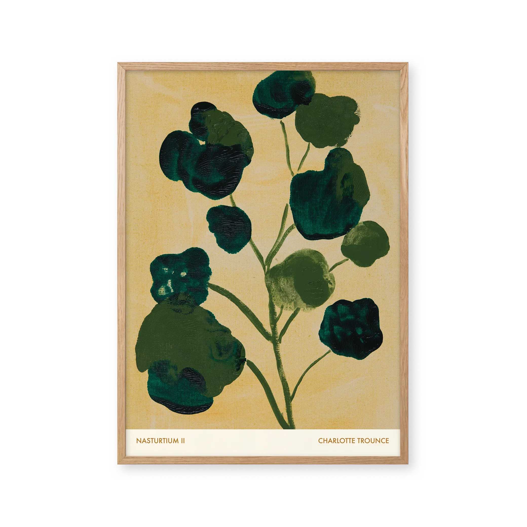 Nasturtium II — Nasturtiums produce round leaves and brightly coloured edible flowers. Both the flowers and leaves have a peppery flavour.