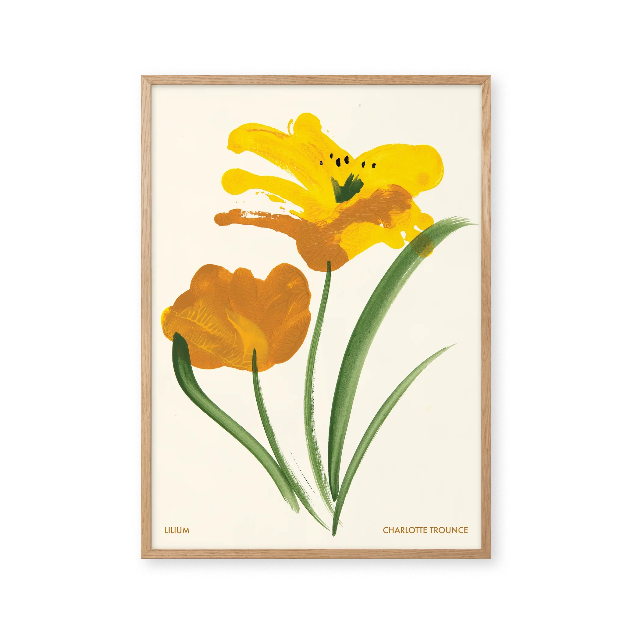 Lilium — Lilies grow from bulbs and produce large summer flowers. Their long stems and prominent stamens make them one of the most recognisable garden flowers.