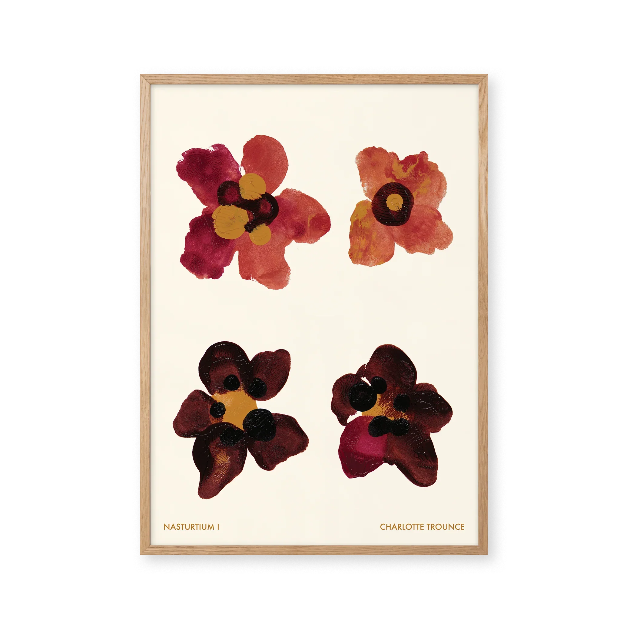 Nasturtium I — Nasturtiums produce round leaves and brightly coloured edible flowers. Both the flowers and leaves have a peppery flavour.