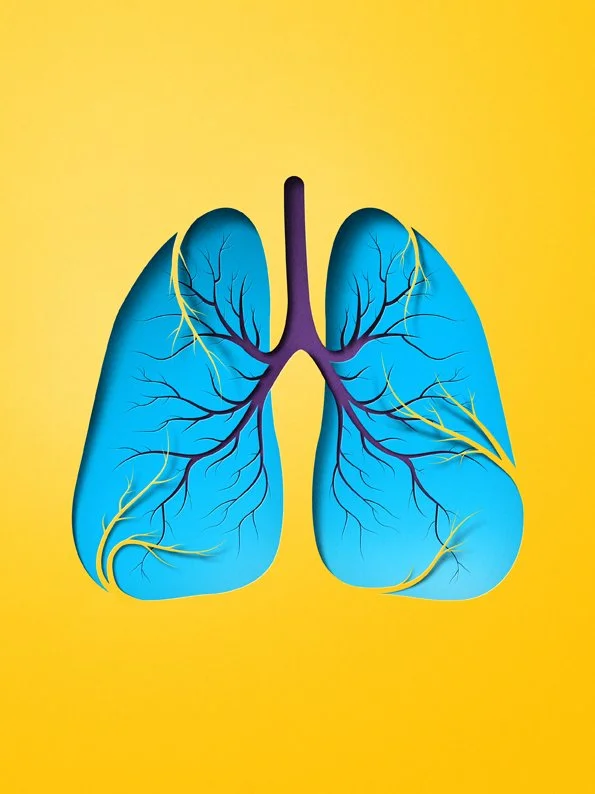 Health organs-eiko-ojala-illustration-Lungs.jpg