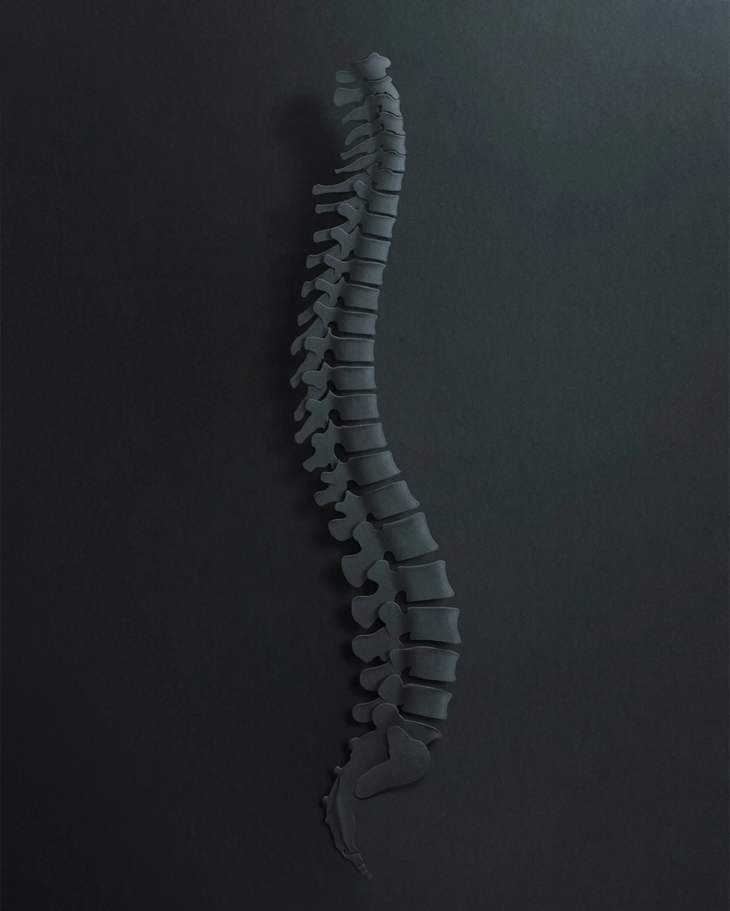 silence-eiko-ojala-illustration-7.jpg