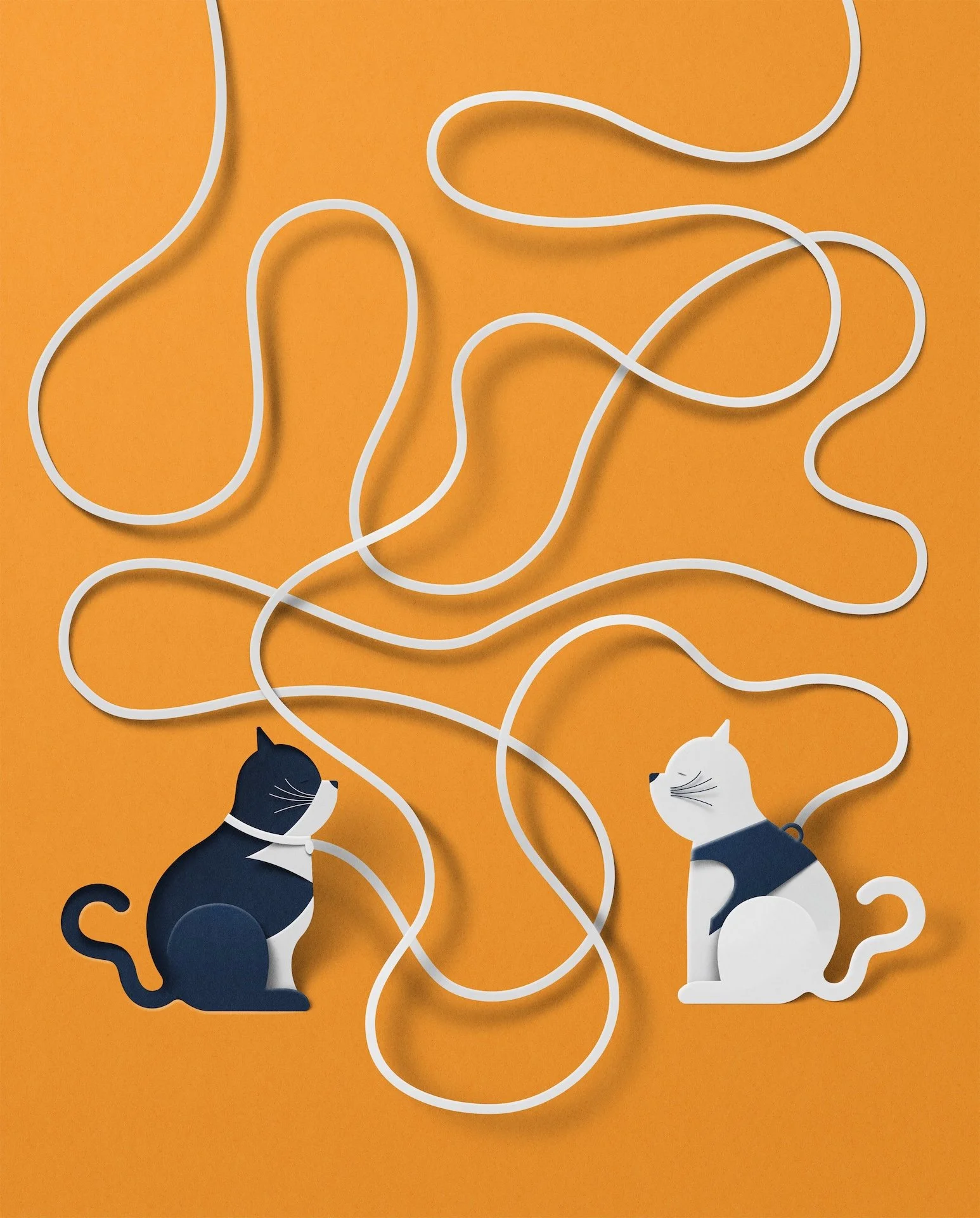 cat and dog magazine-eiko-ojala-illustration-illustration 2.jpg
