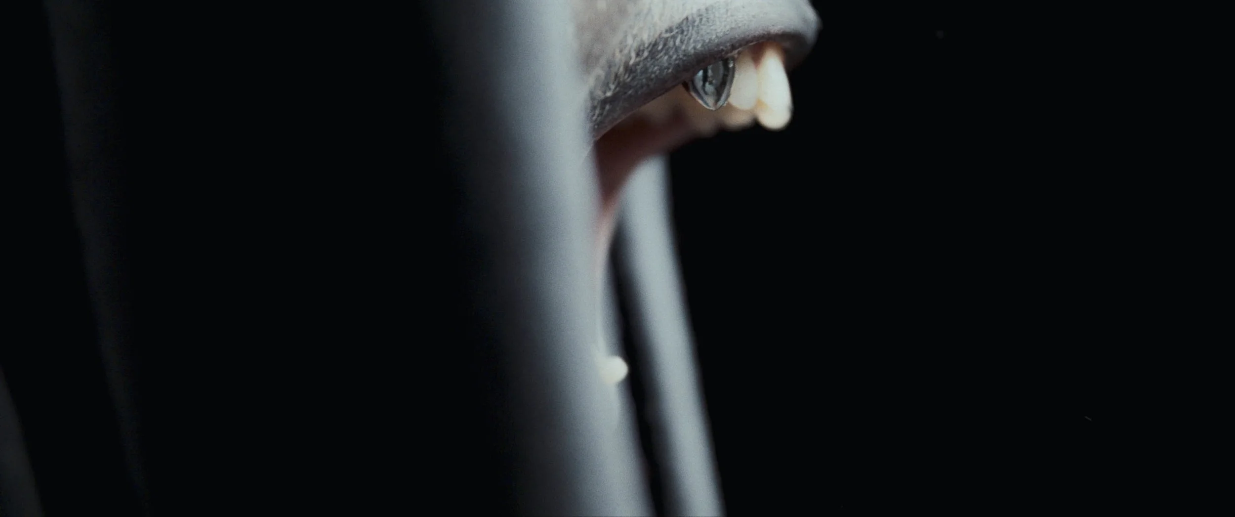 CINERES_.jpg_0004_Layer 1.jpg