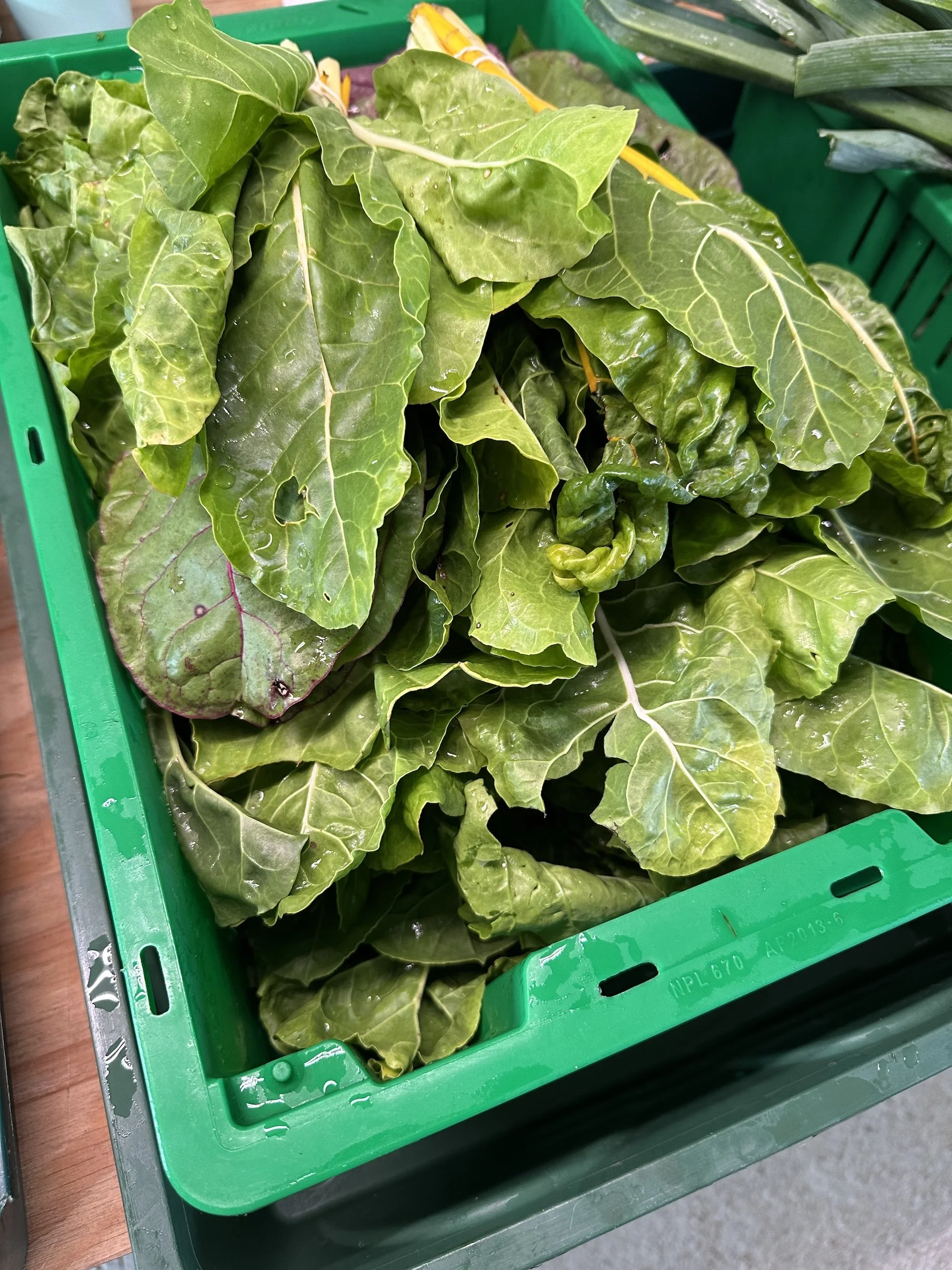 Swiss Chard (crate)