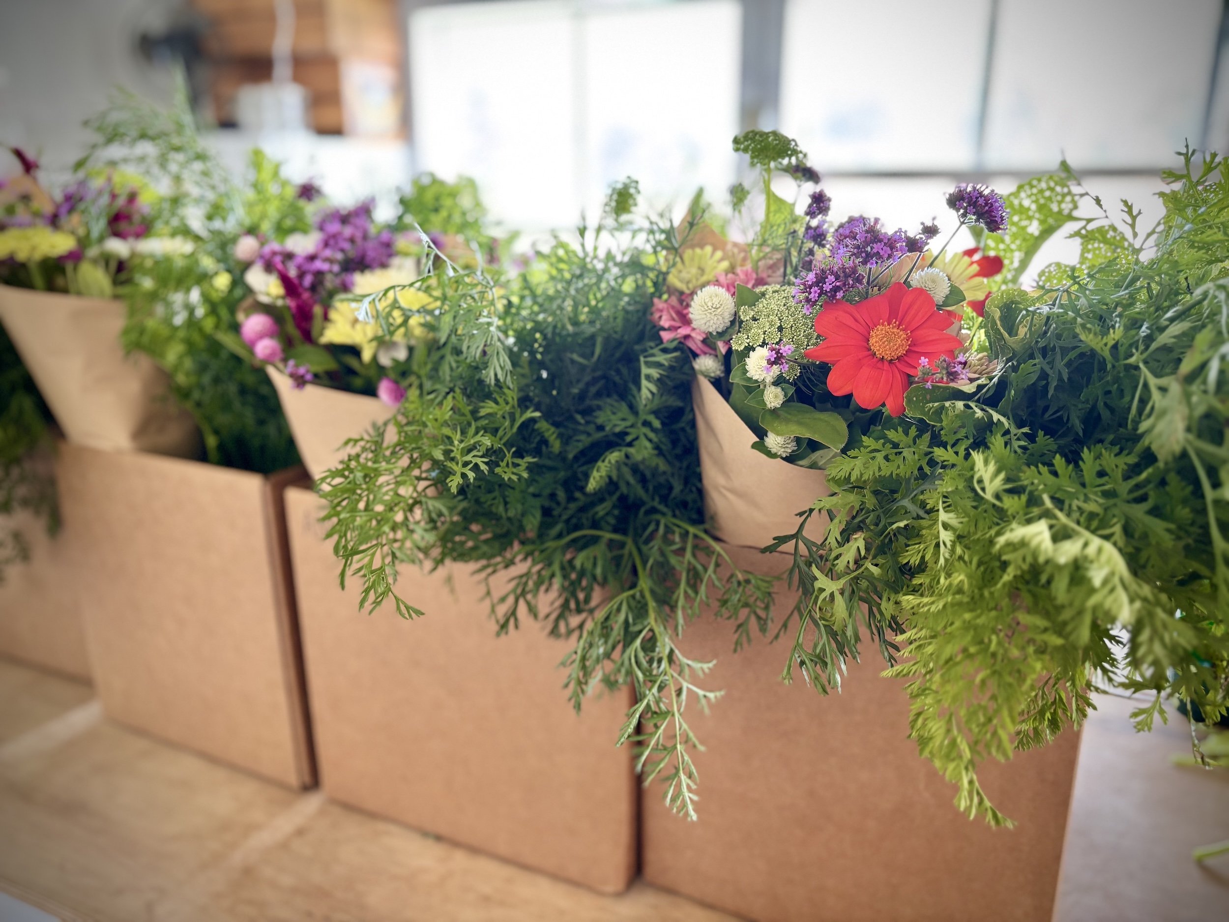 Grown & Gathered:  Season