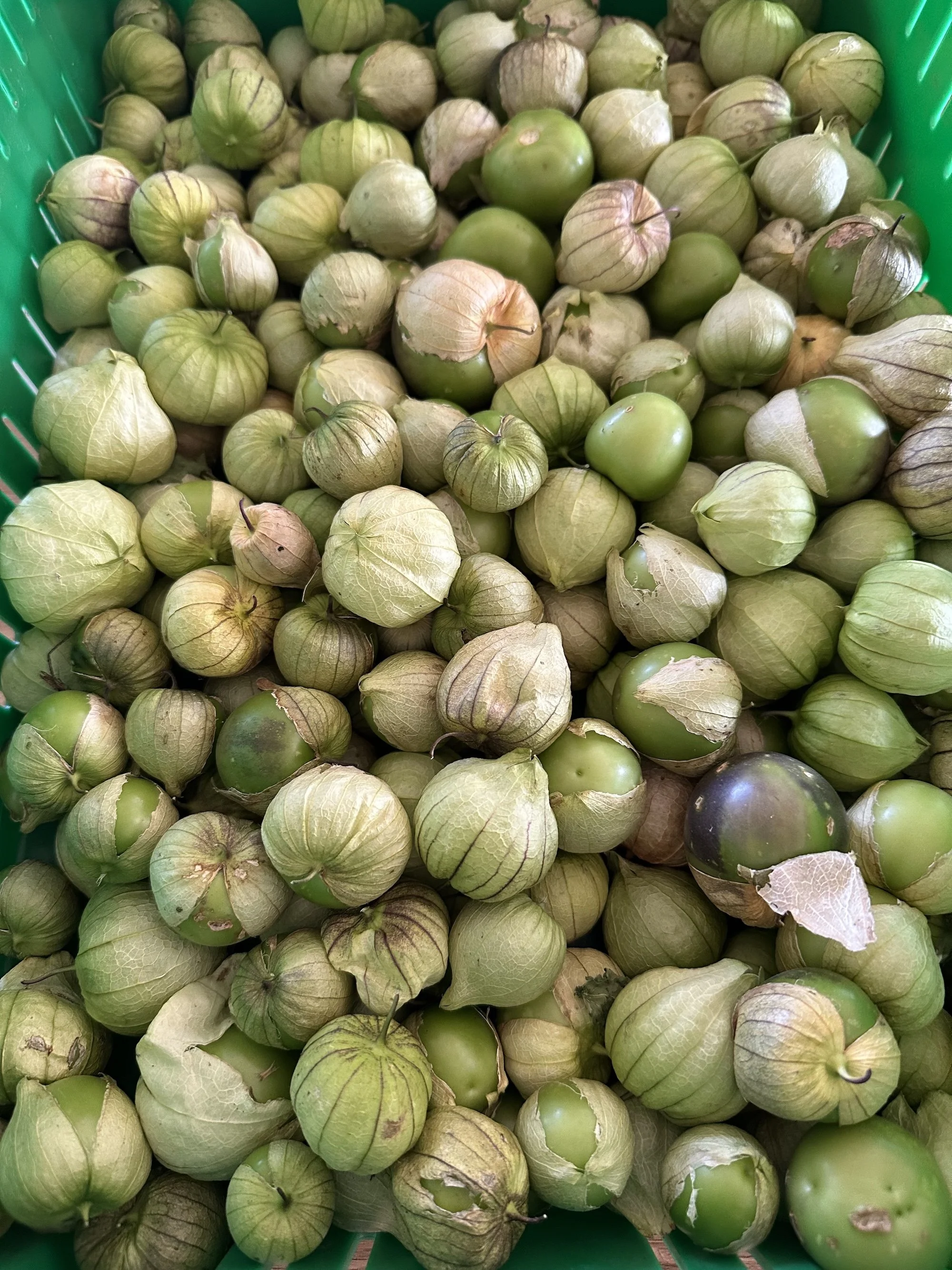 Tomatillos di Milpa (Pint box)