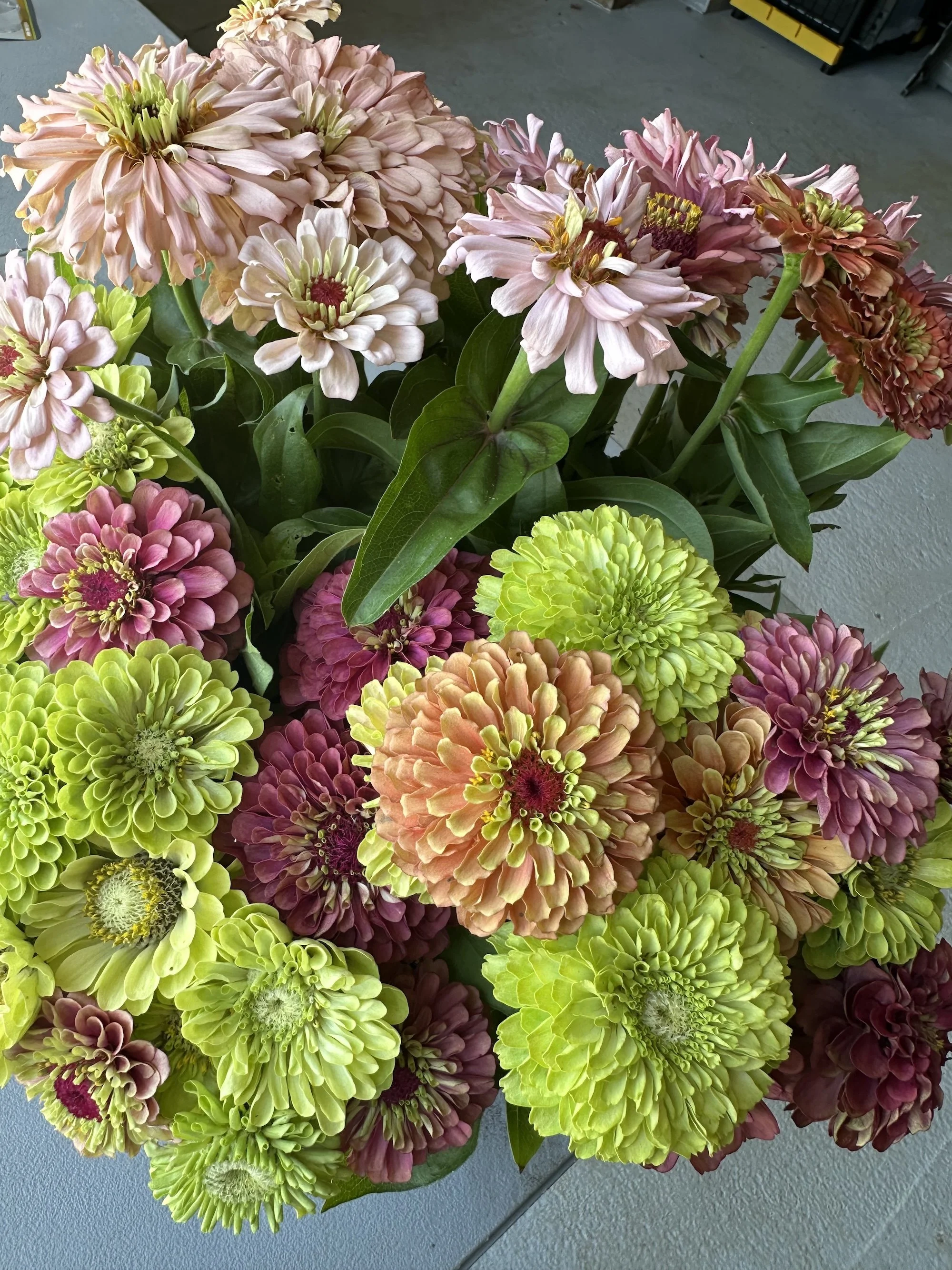 Mixed Bouquet (bunch)