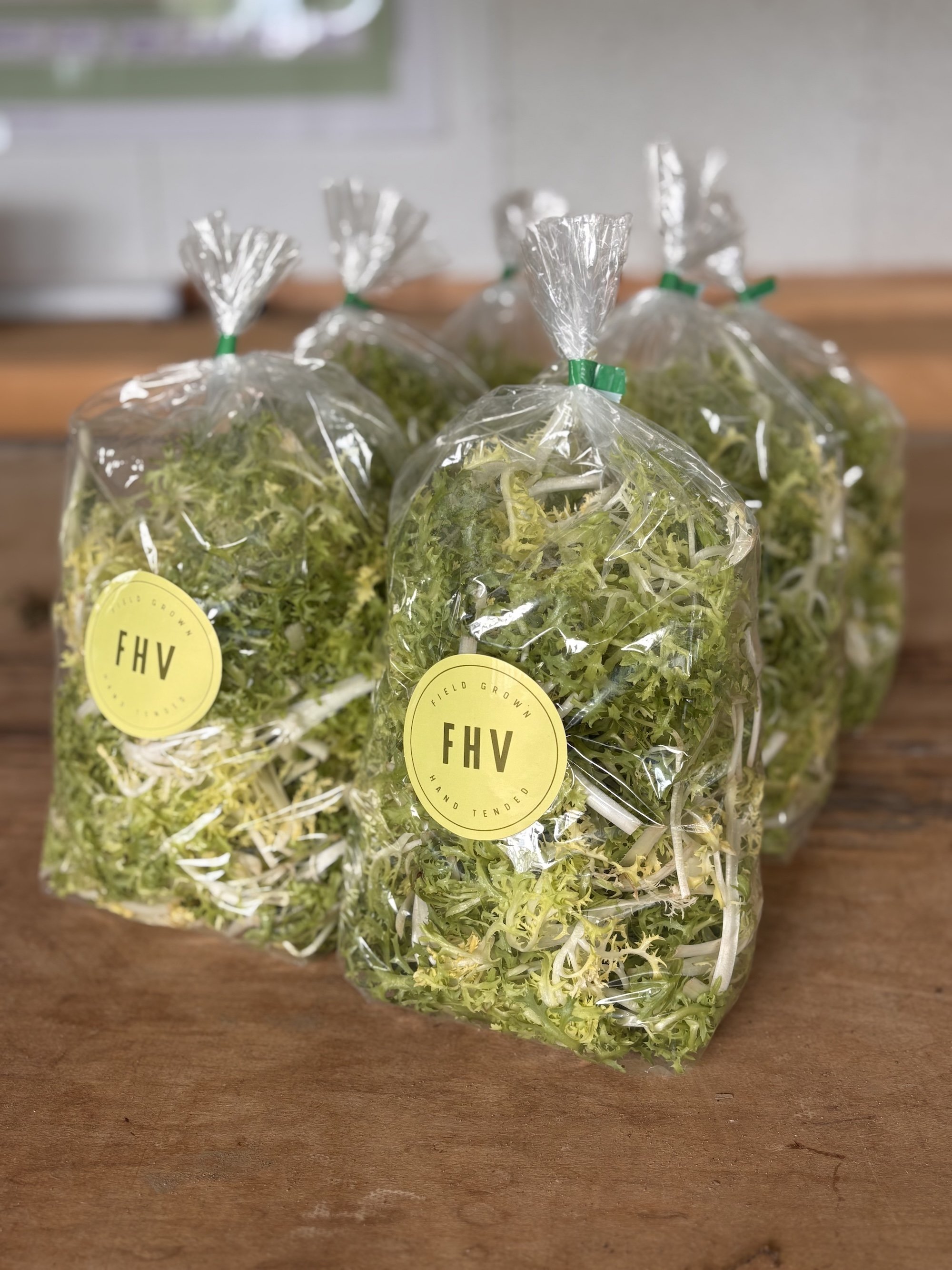 Endive frisee bag.jpeg