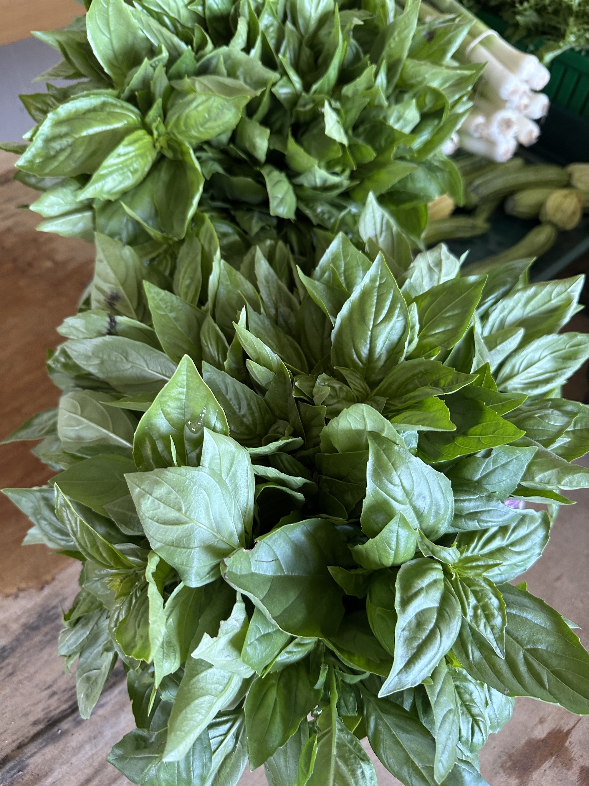 Basil v. Genovese (by the bunch)