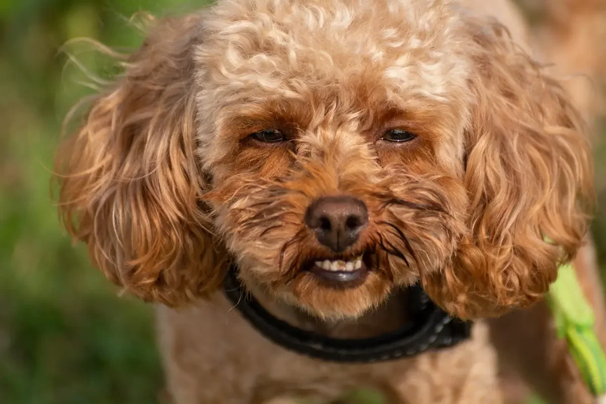 7 Surprising Causes of Dry Eye and How to Treat Them