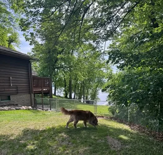 Day 1468