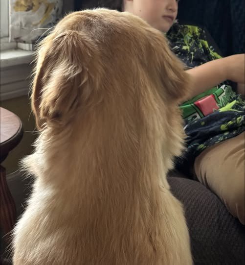 Day 1537