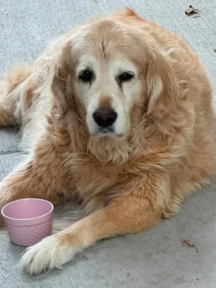 Day 1548