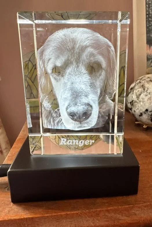 Day 1610
