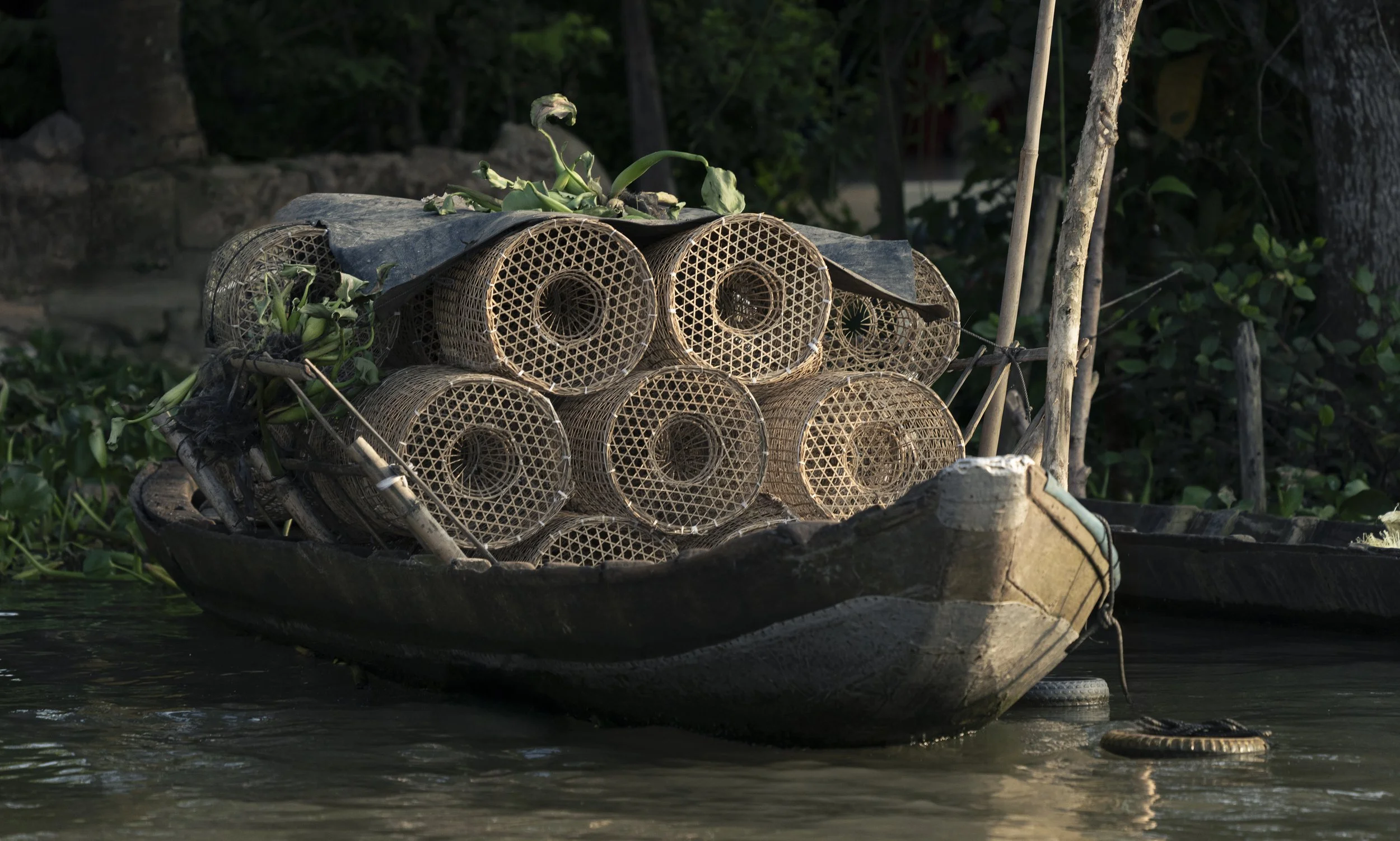 Vietnam 2025-45.jpg