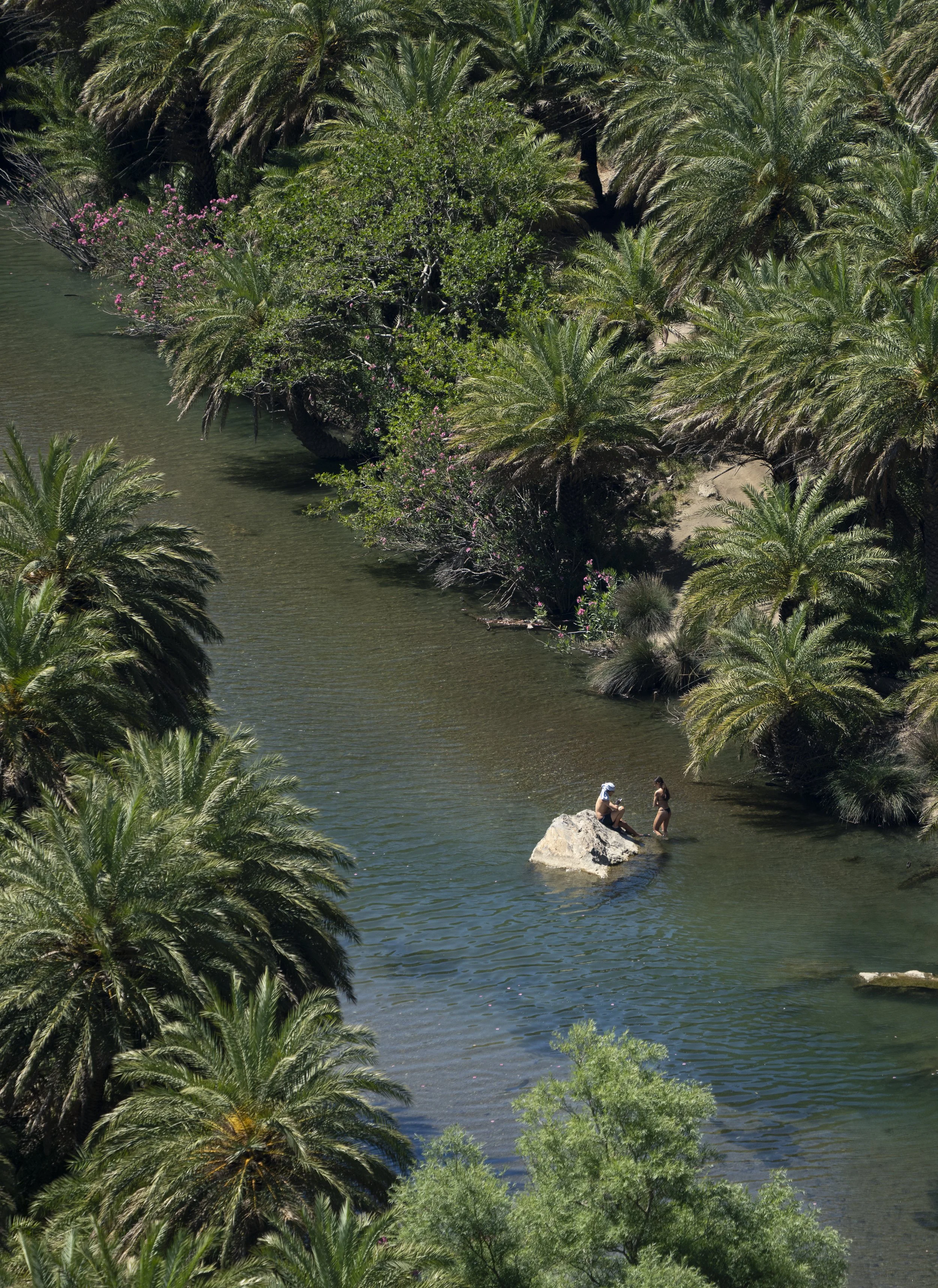 Preveli Gorge in Crete, is not just one of the only locations on earth where Cretan date palms are endemic, but it is also one of the literally hundreds of canyons and gorges formed from the limestone bedrock in Crete, Greece