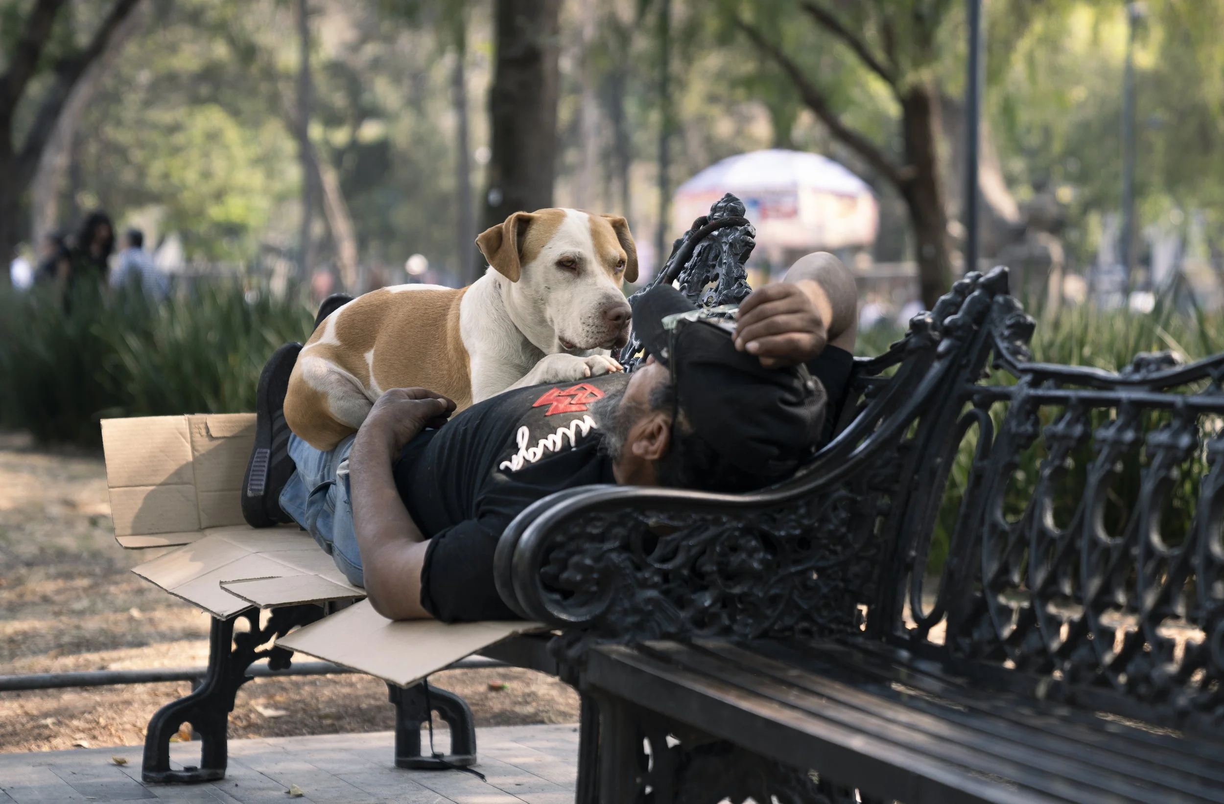 A dog and his human - Alameda Central Park, Mexico City, Mexico
