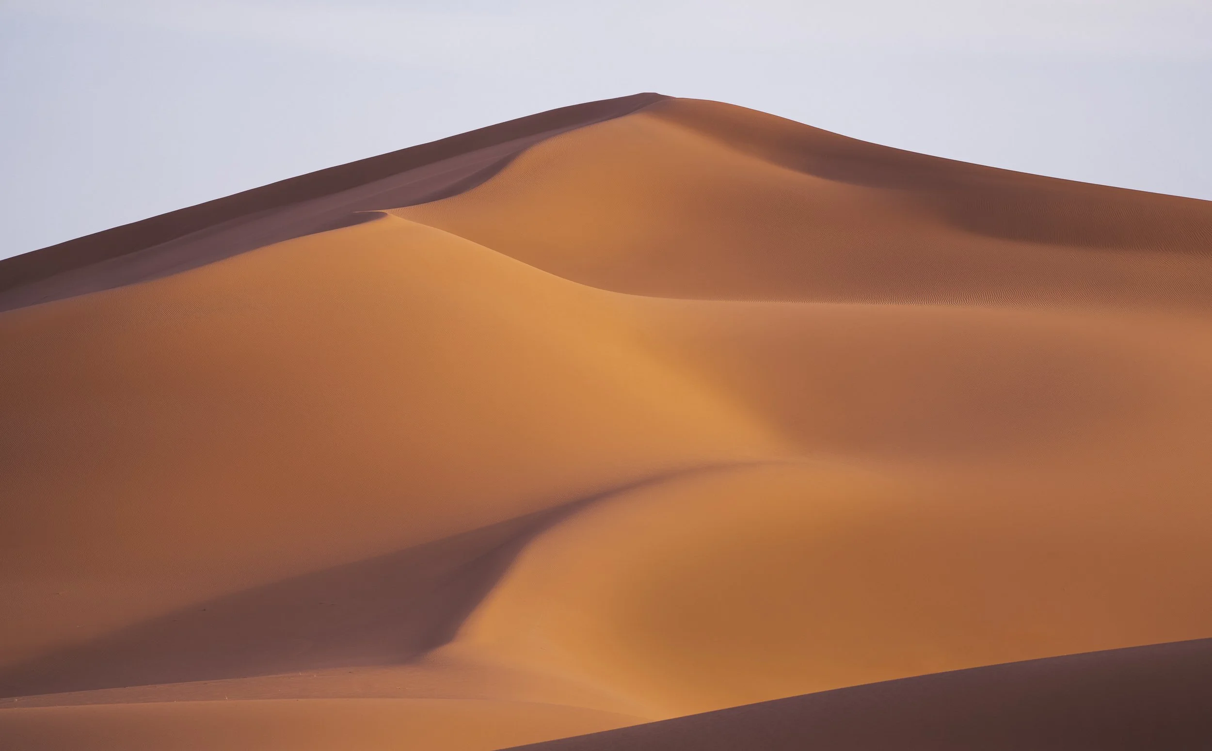 Sand dunes - Sahara Desert near Hassilabied