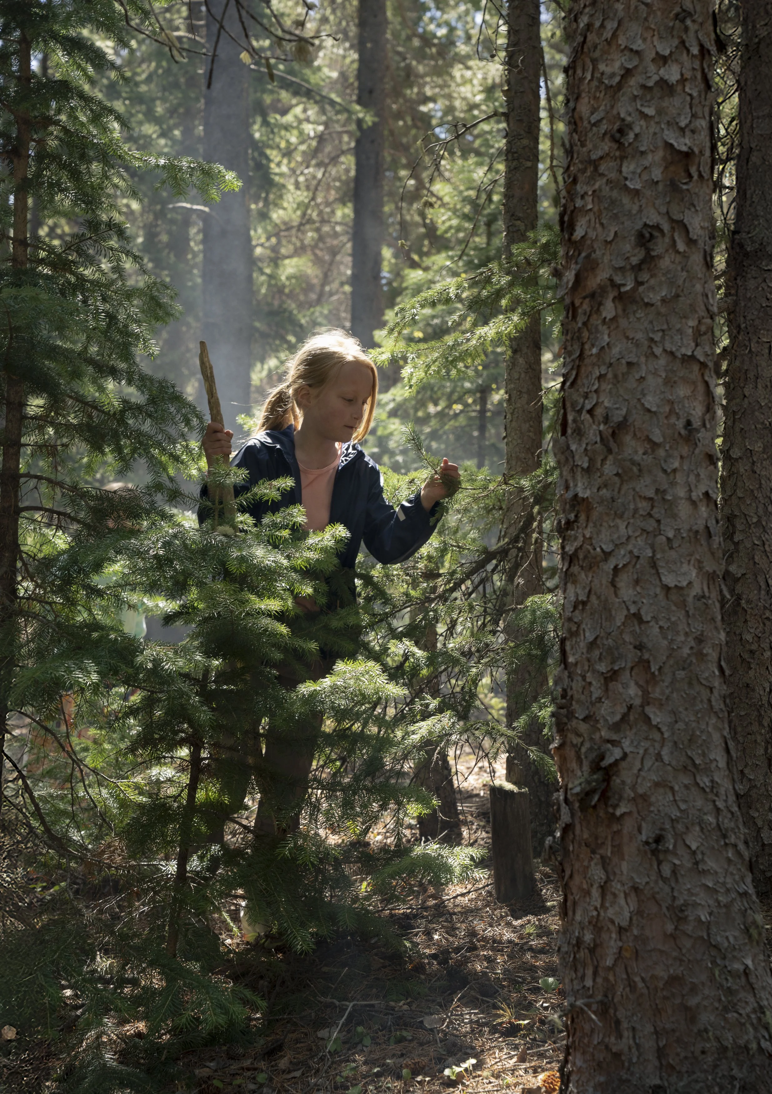 National Forest Foundation-2.jpg