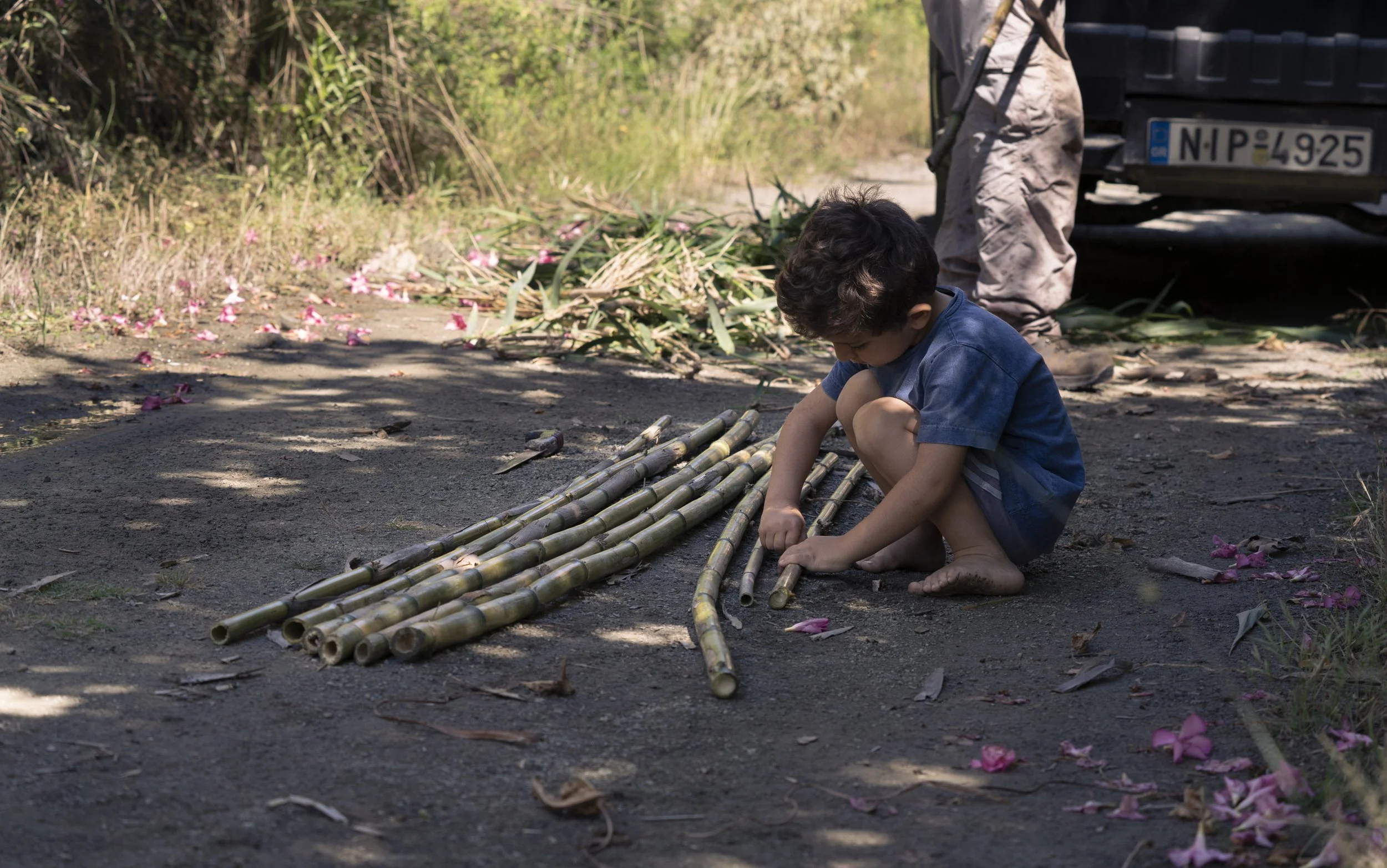 Father and so harvesting bamboo for their garden vines.  Preveli Gorge, Crete, Greece