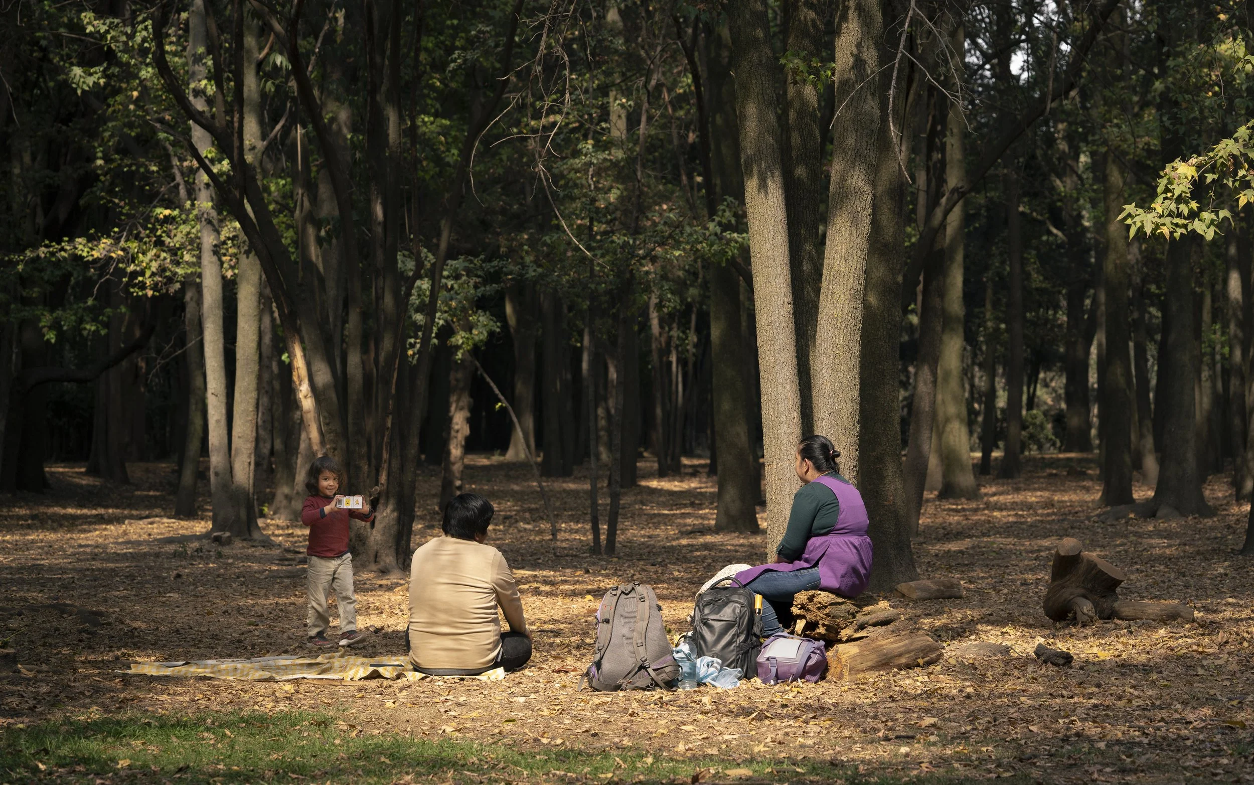 Family picnic - Viveros de Coyoacán Park, Coyoacán, Mexico