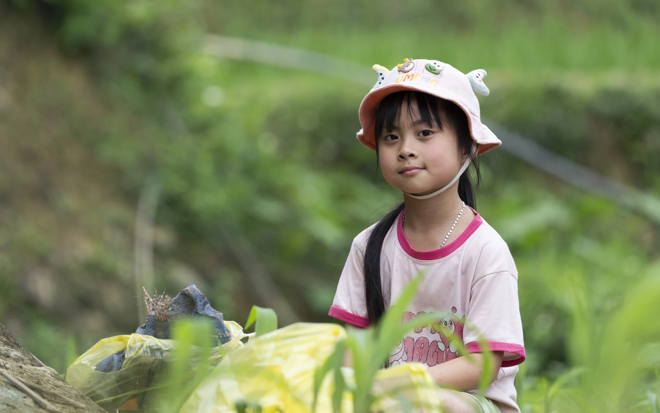 Vietnam 2025-16.jpg