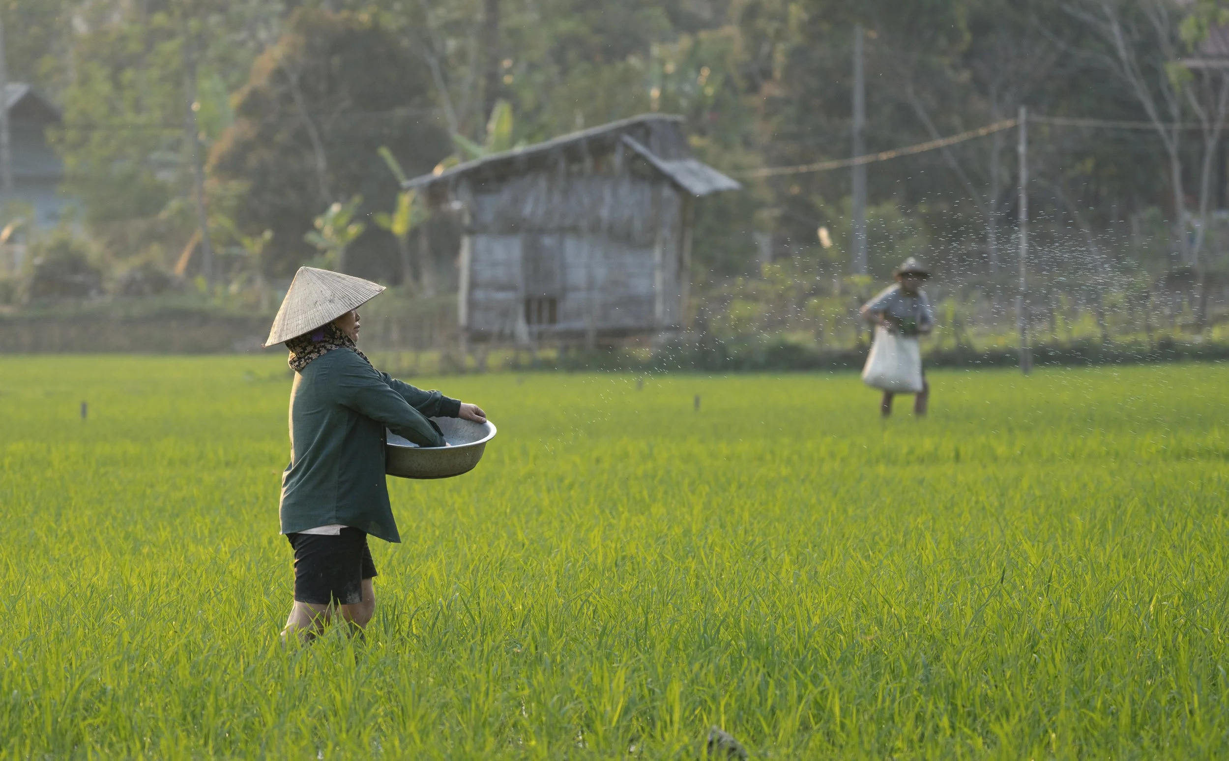 Vietnam 2025-7.jpg