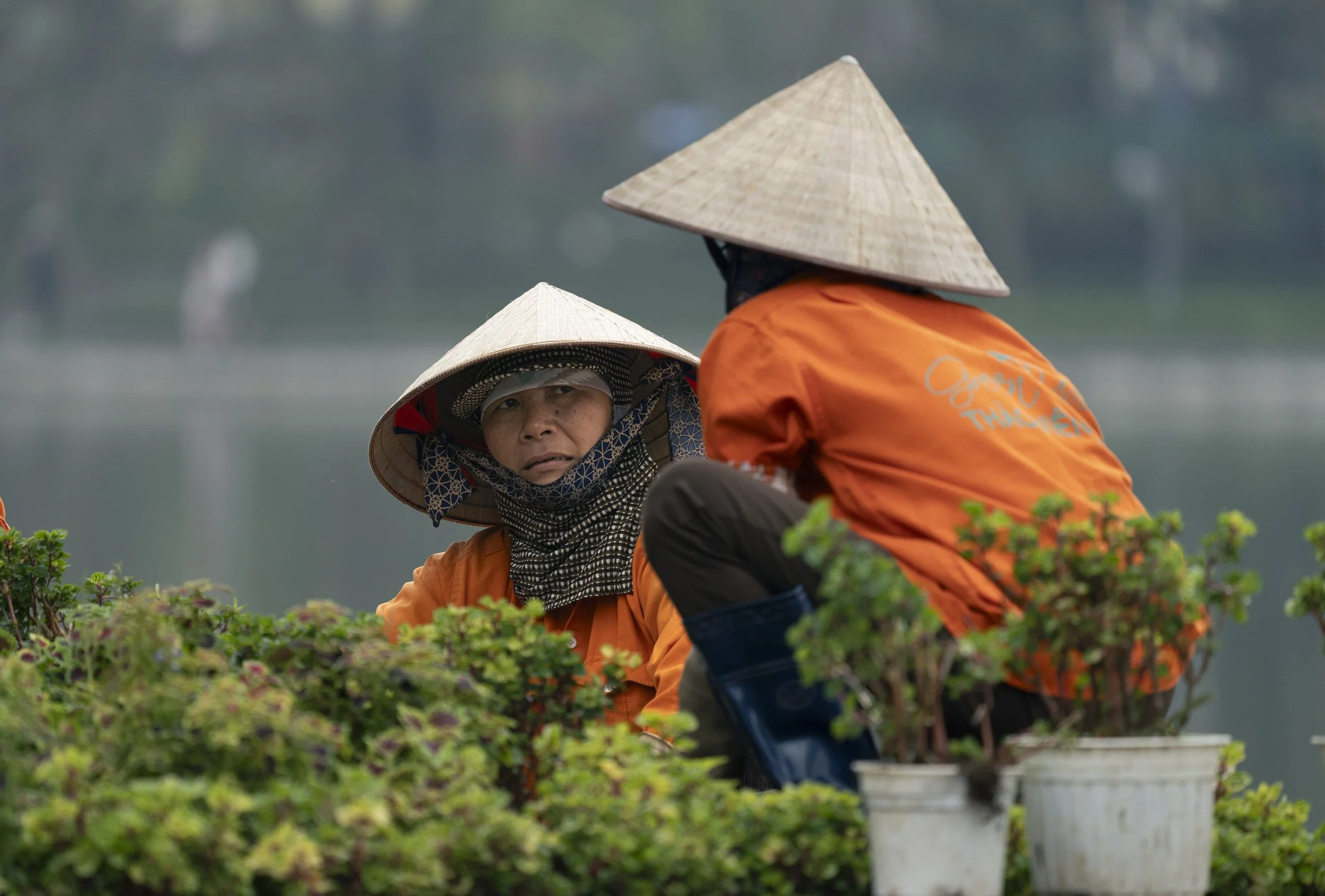 Vietnam 2025-1.jpg